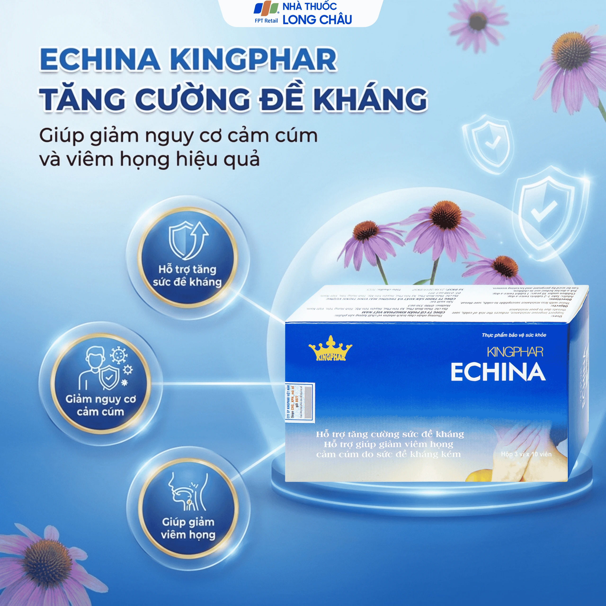 Viên uống hỗ trợ tăng cường sức đề kháng, giúp giảm nguy cơ cảm cúm, viêm họng Echina Kingphar (3 vỉ x 10 viên) 2