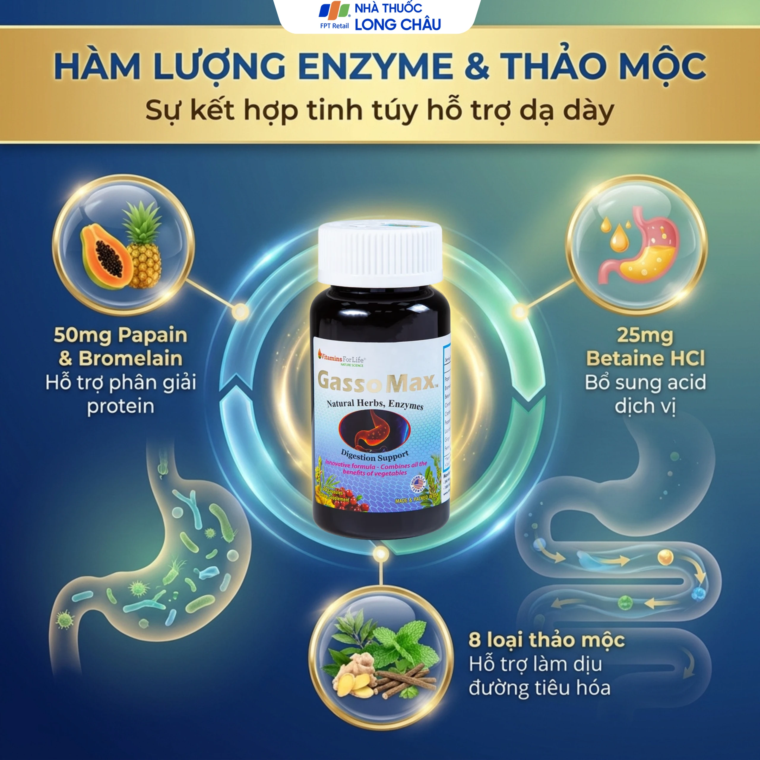 Viên uống bổ sung enzyme và các thảo mộc hỗ trợ tiêu hóa tốt Gasso Max Vitamins For Life (30 viên) 3