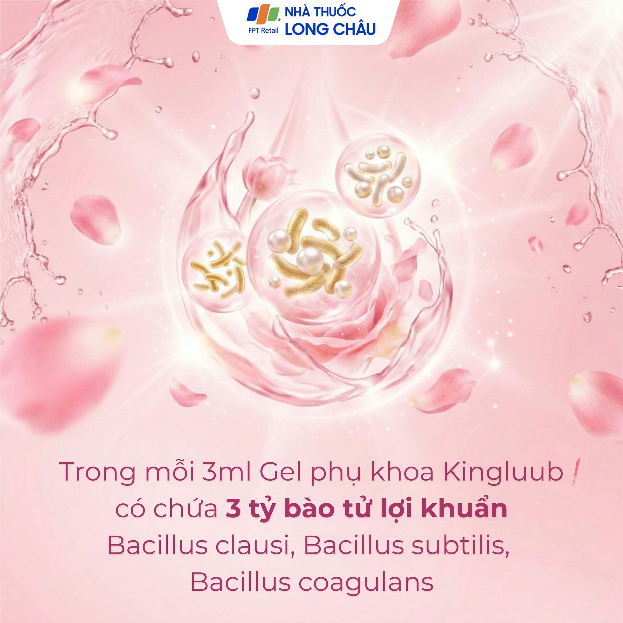 Gel phụ khoa Kingluub (5 tuýp x 3ml) hỗ trợ điều trị, giảm viêm nhiễm, bôi trơn, làm mềm vùng âm đạo 