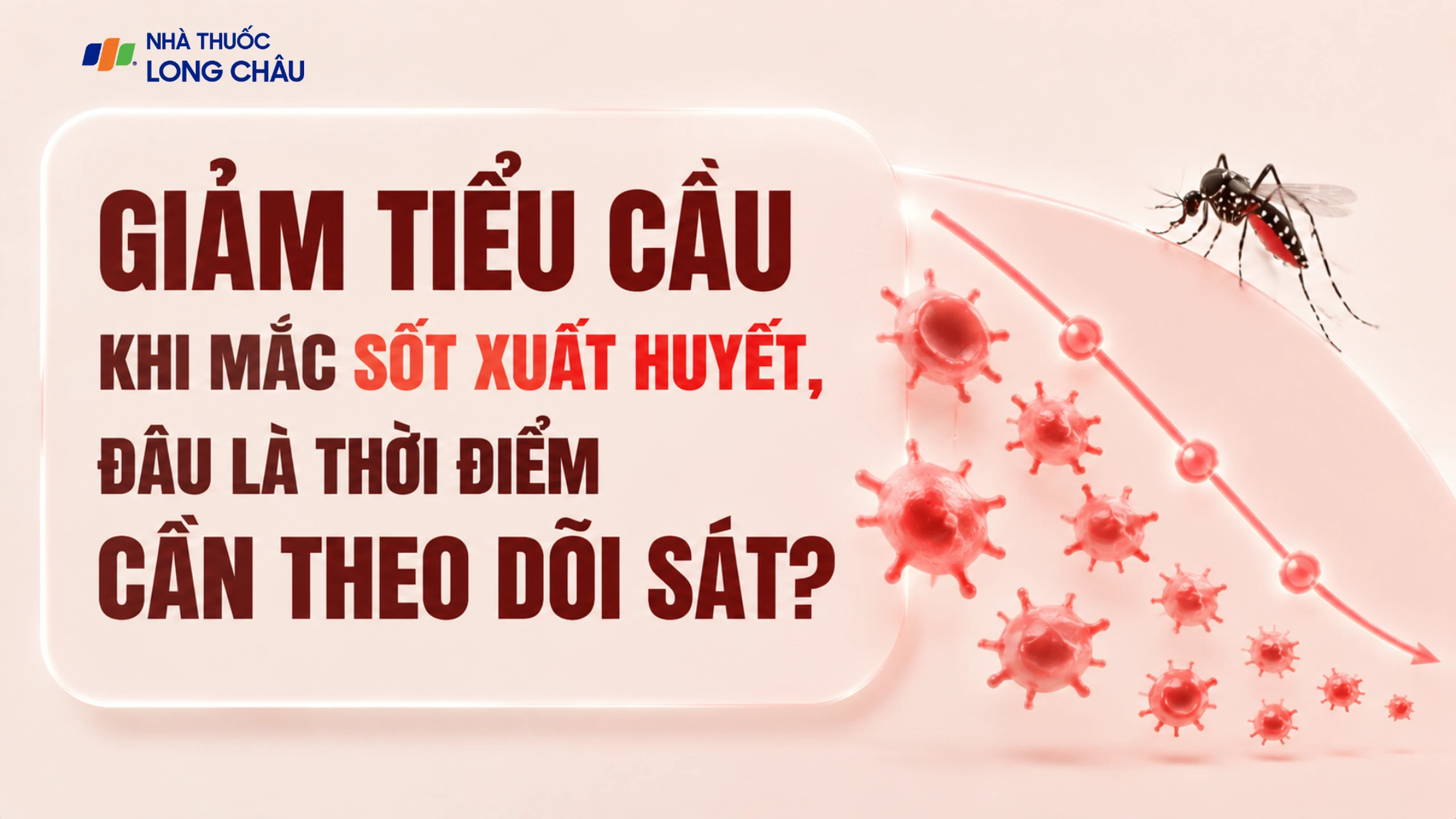 Giảm tiểu cầu khi mắc sốt xuất huyết, đâu là thời điểm cần theo dõi sát?