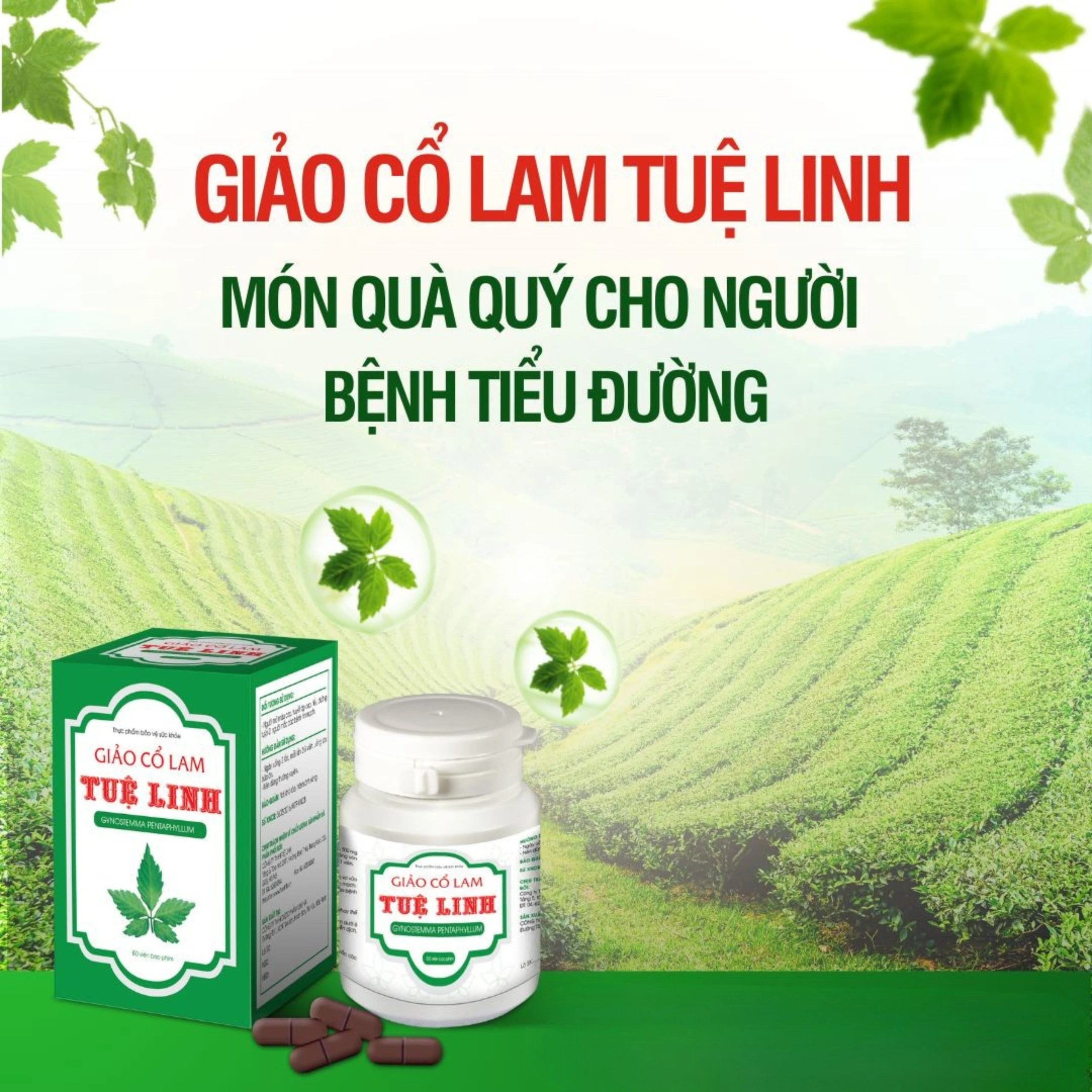 Viên giúp giảm nguy cơ đường huyết cao Giảo Cổ Lam Tuệ Linh (100 viên) 2