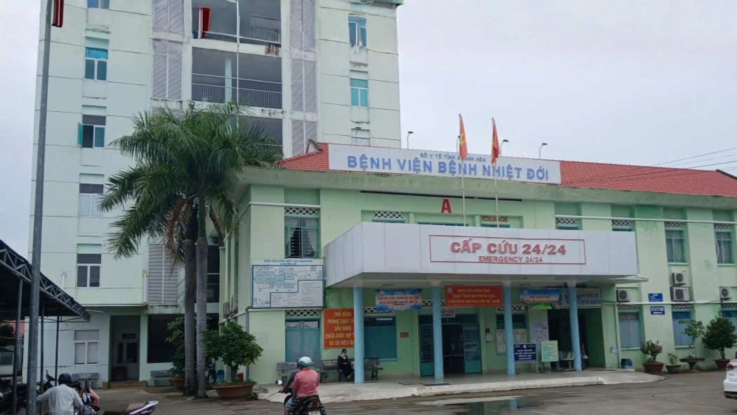 Giun đũa chó mèo gia tăng, hơn 1.000 người dân Khánh Hòa phải đến bệnh viện