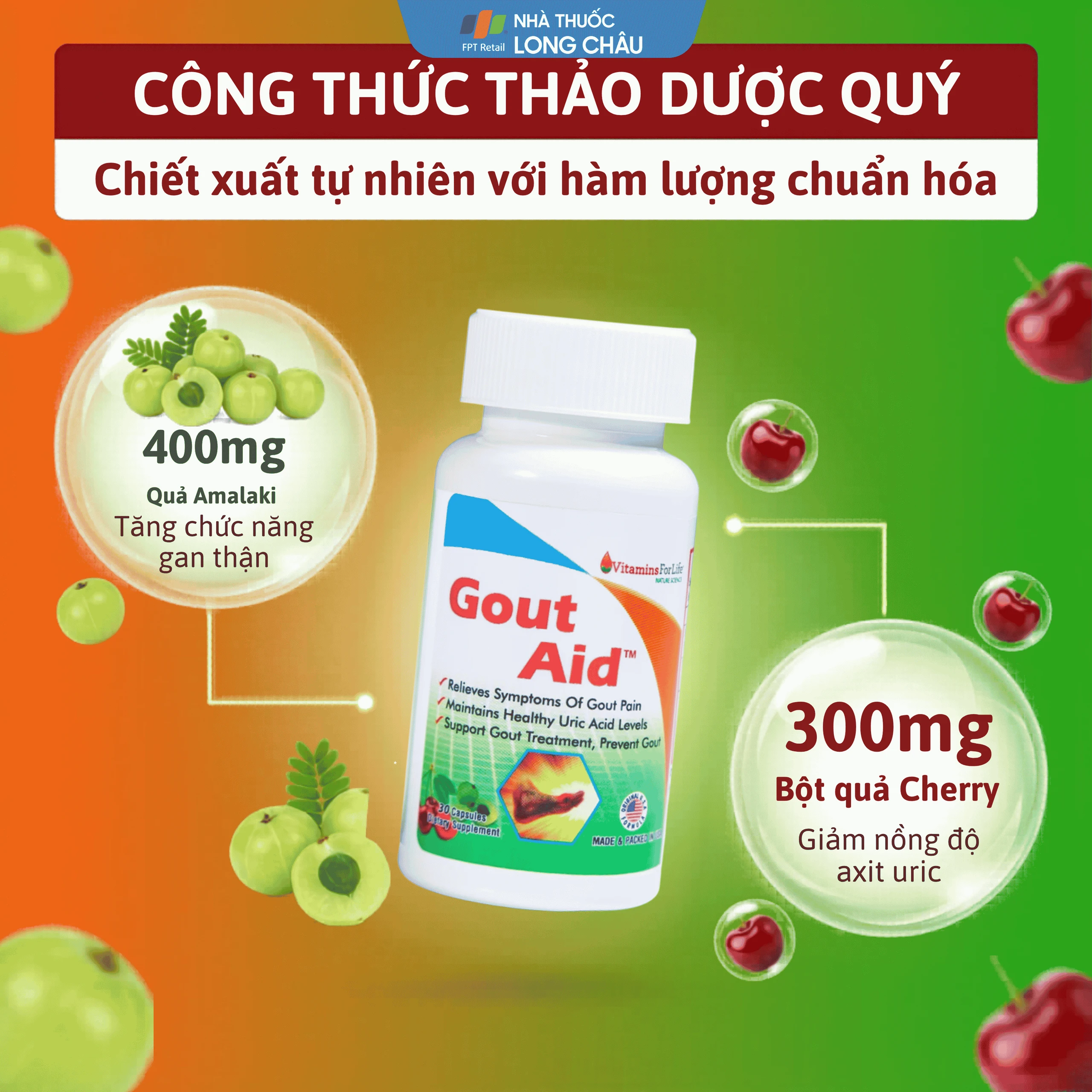 Viên uống hỗ trợ giảm các triệu chứng cho người bị gout Gout Aid Vitamins For Life (30 viên) 3