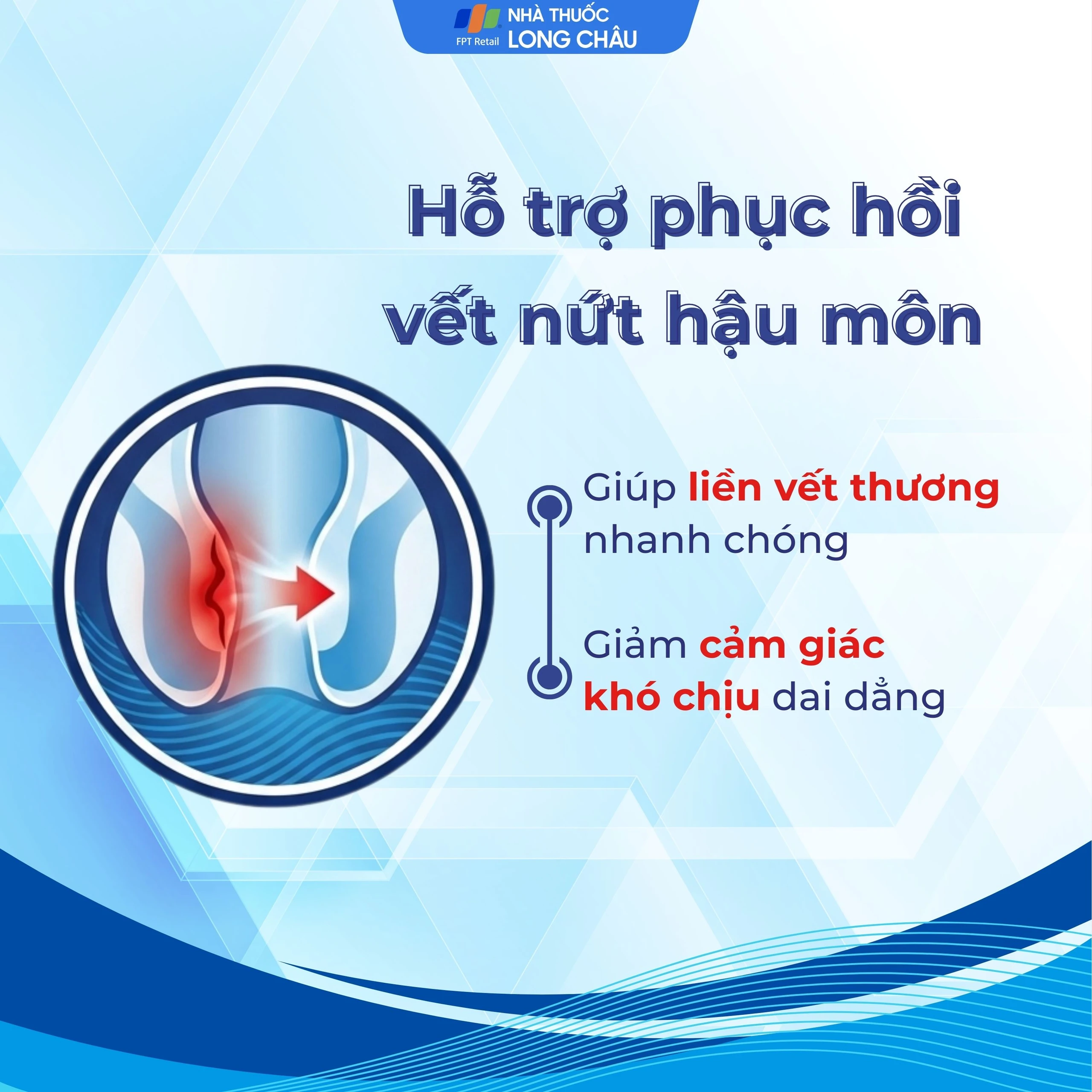 Viên đặt hậu môn, trực tràng Healit Rectan (10 viên) giúp thúc đẩy nhanh quá trình lành vết thương
