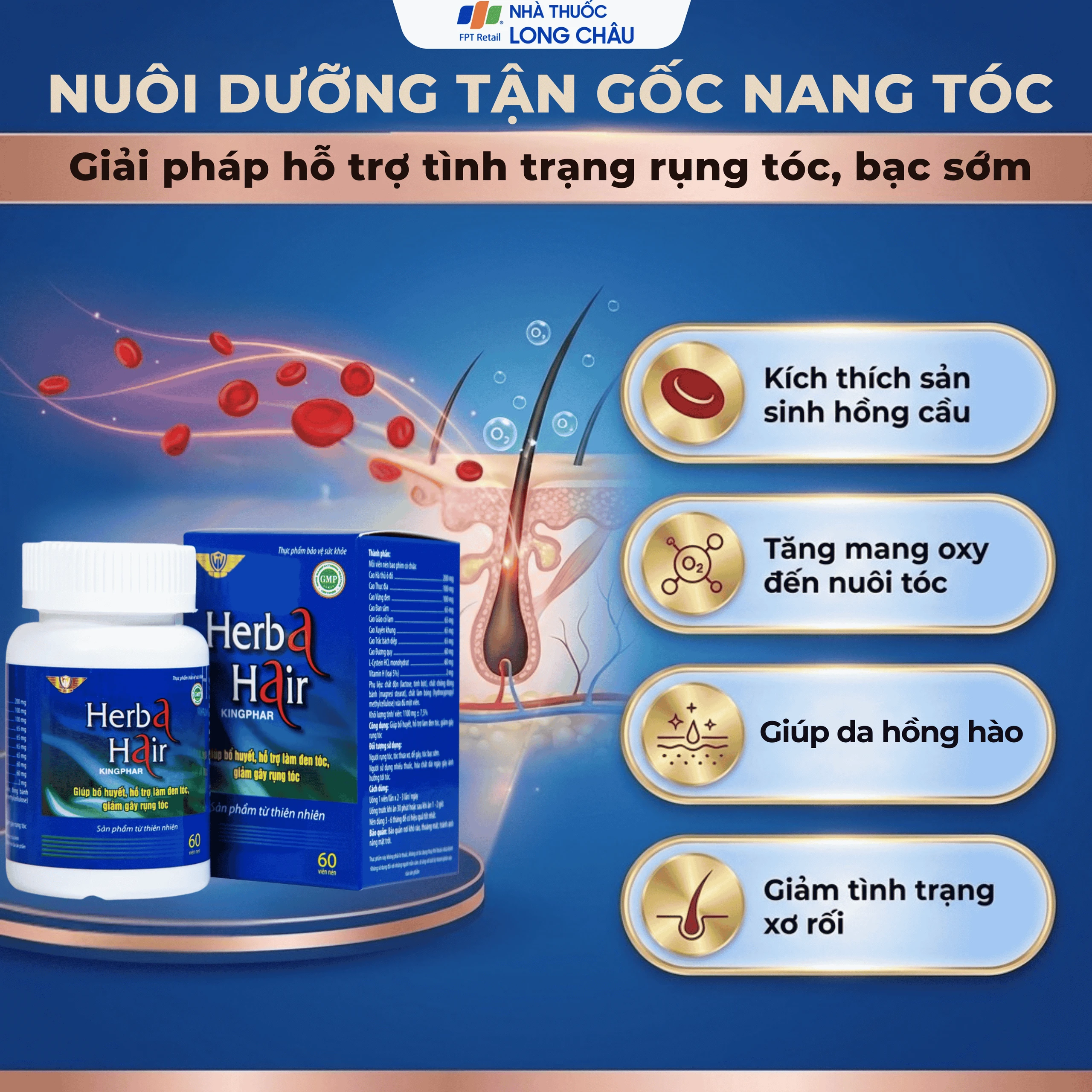 Viên uống hỗ trợ làm đen tóc, giảm gãy rụng Herba Hair Kingphar (60 viên) 4