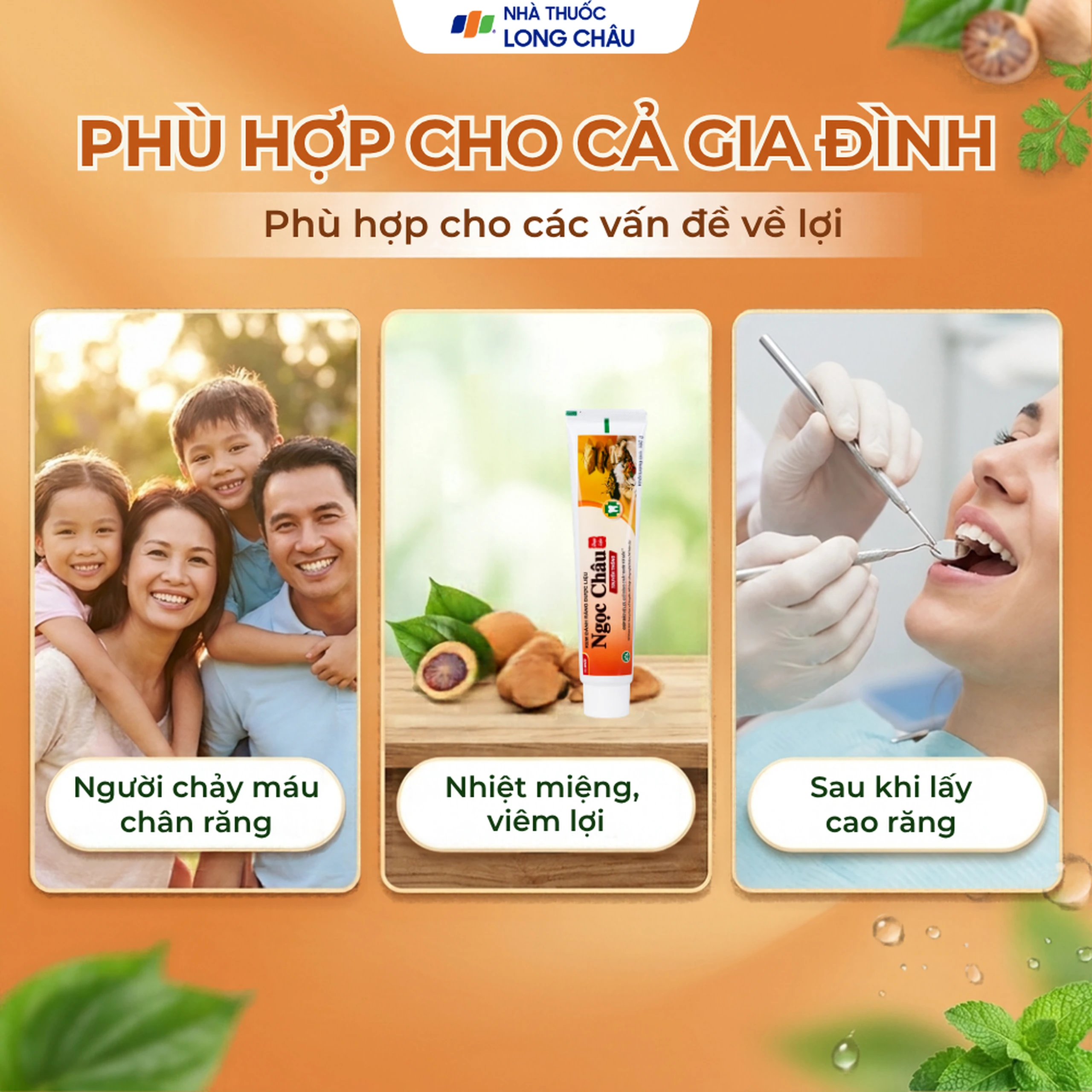 Kem đánh răng dược liệu Ngọc Châu bảo vệ lợi, chắc răng, làm bền thành mạch, chống tụt lợi, chảy máu chân răng (100g) 5