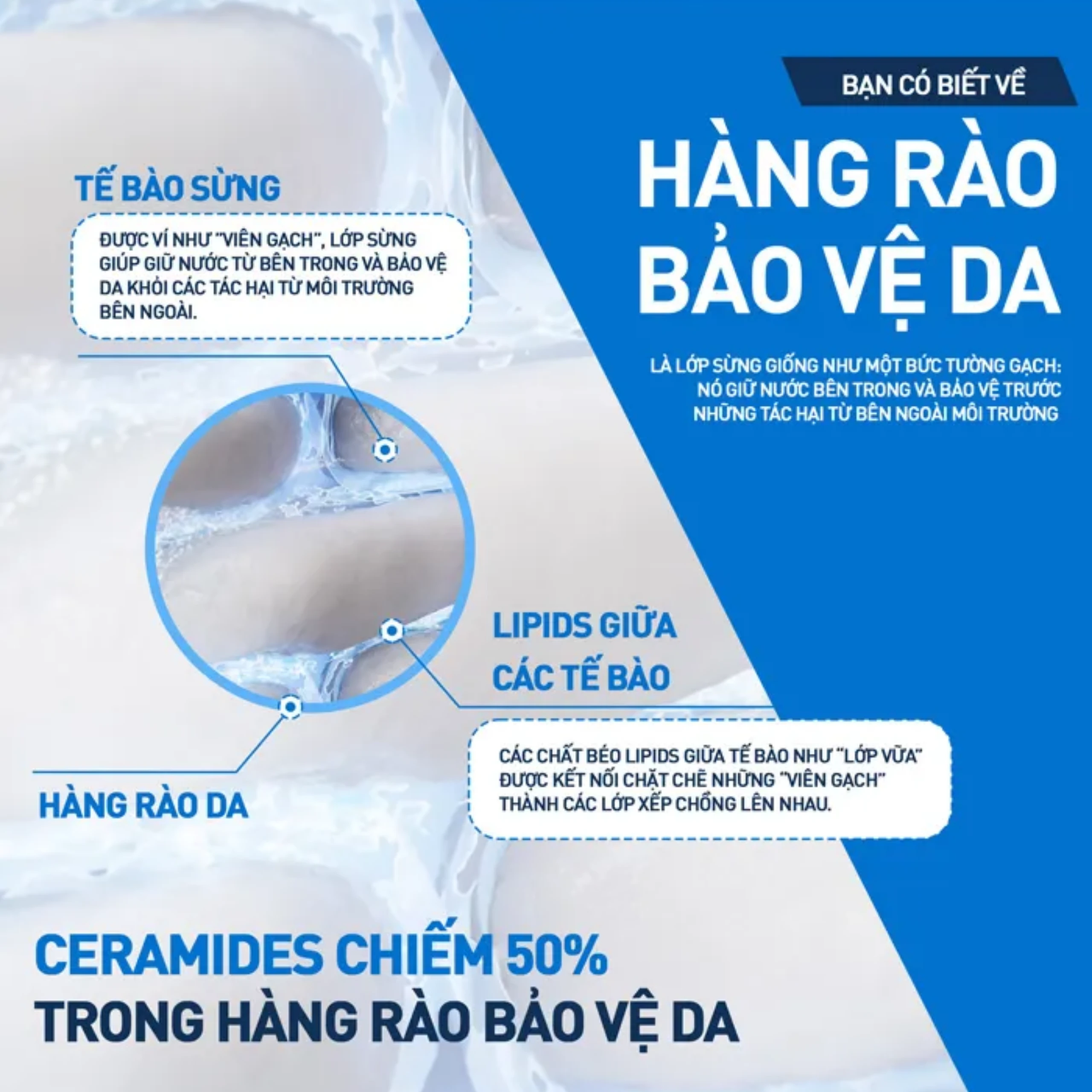 Kem dưỡng ẩm cho da khô CeraVe Moisturising Cream (50ml)