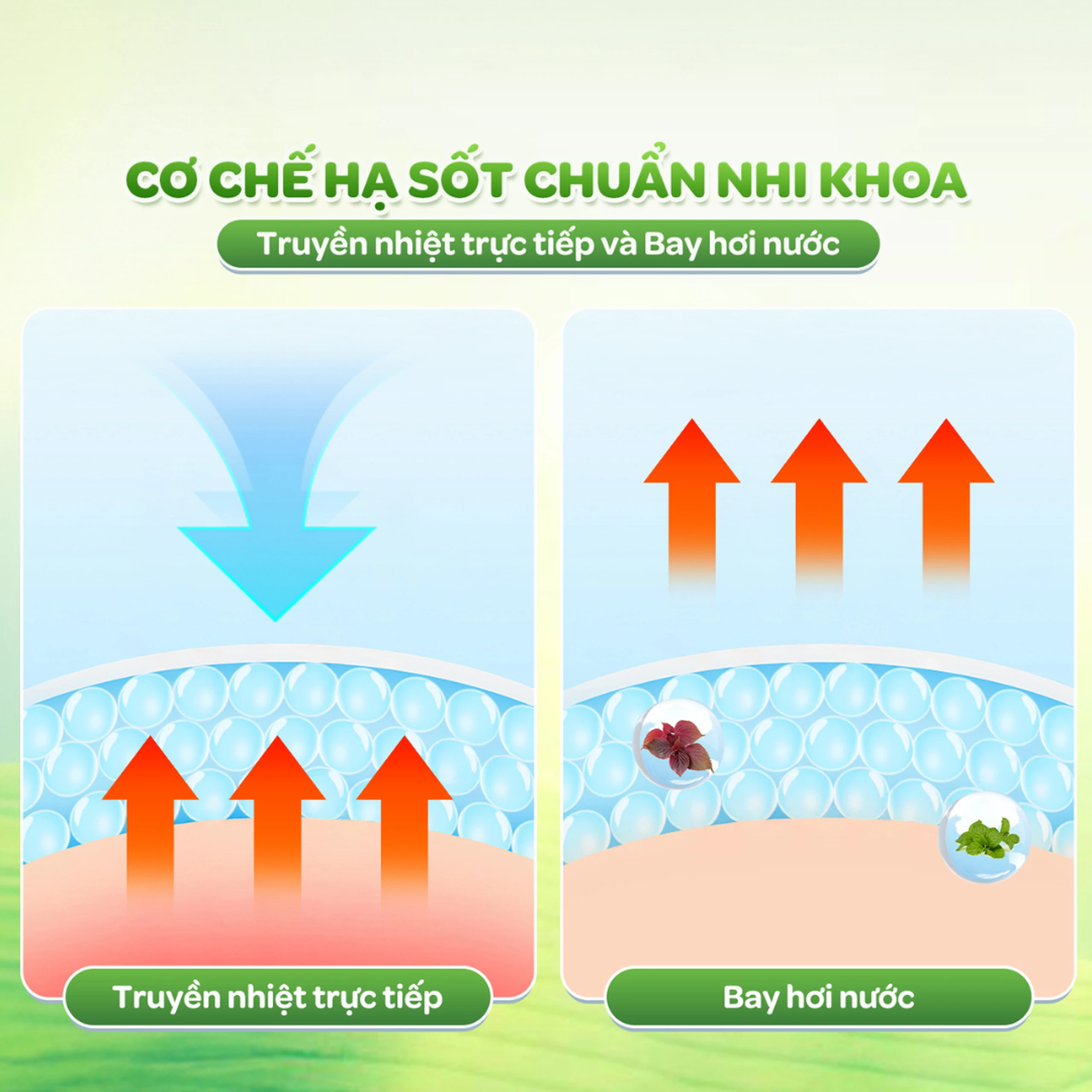 Khăn hạ sốt Dr.Papie 0+ Starmed (5 gói x 5 miếng) hạ nhiệt giảm sốt dùng cho trẻ sơ sinh