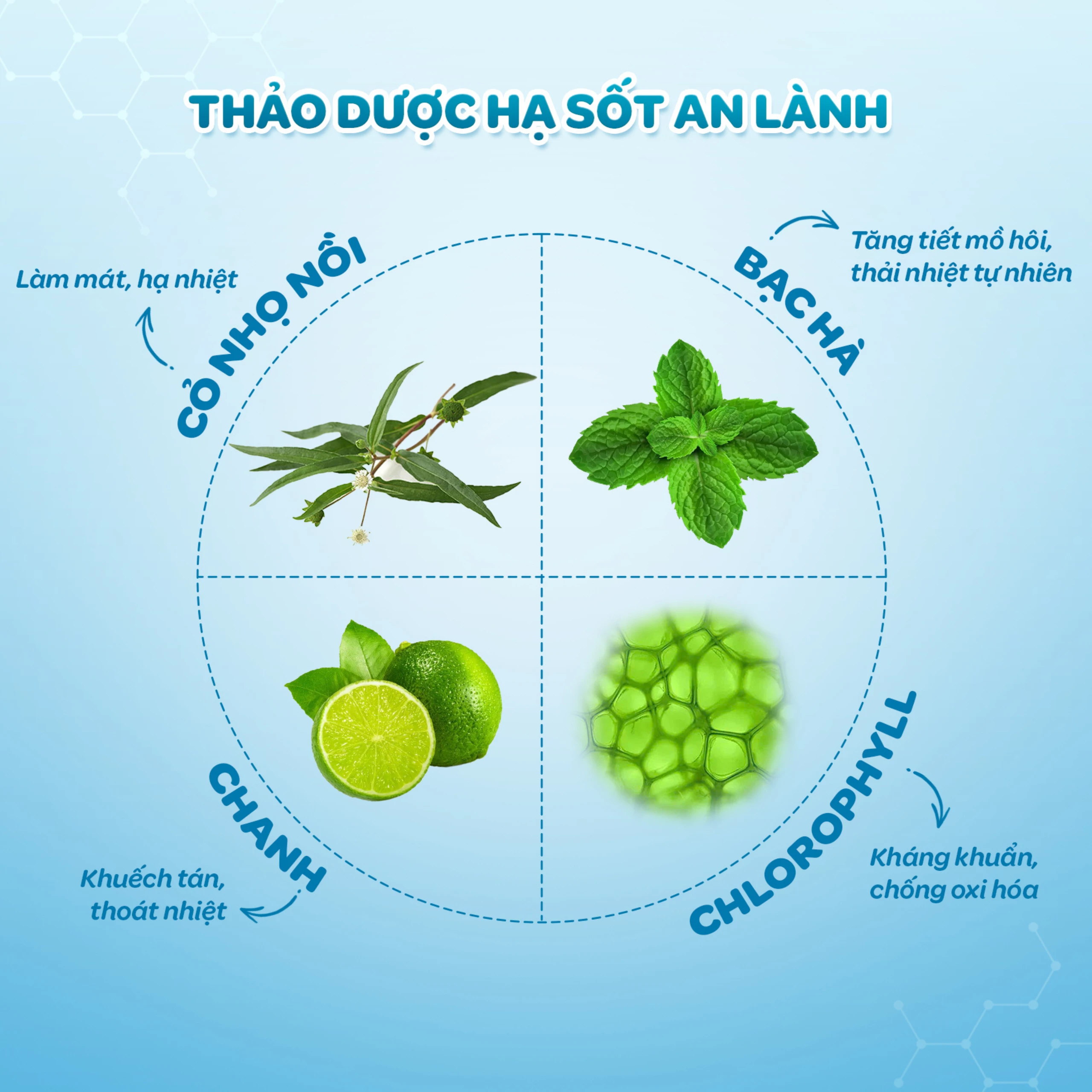 Khăn hạ sốt Dr.Papie 3M0+ Starmed (5 gói x 5 miếng) hạ nhiệt giảm sốt dùng cho trẻ từ 3 tháng tuổi