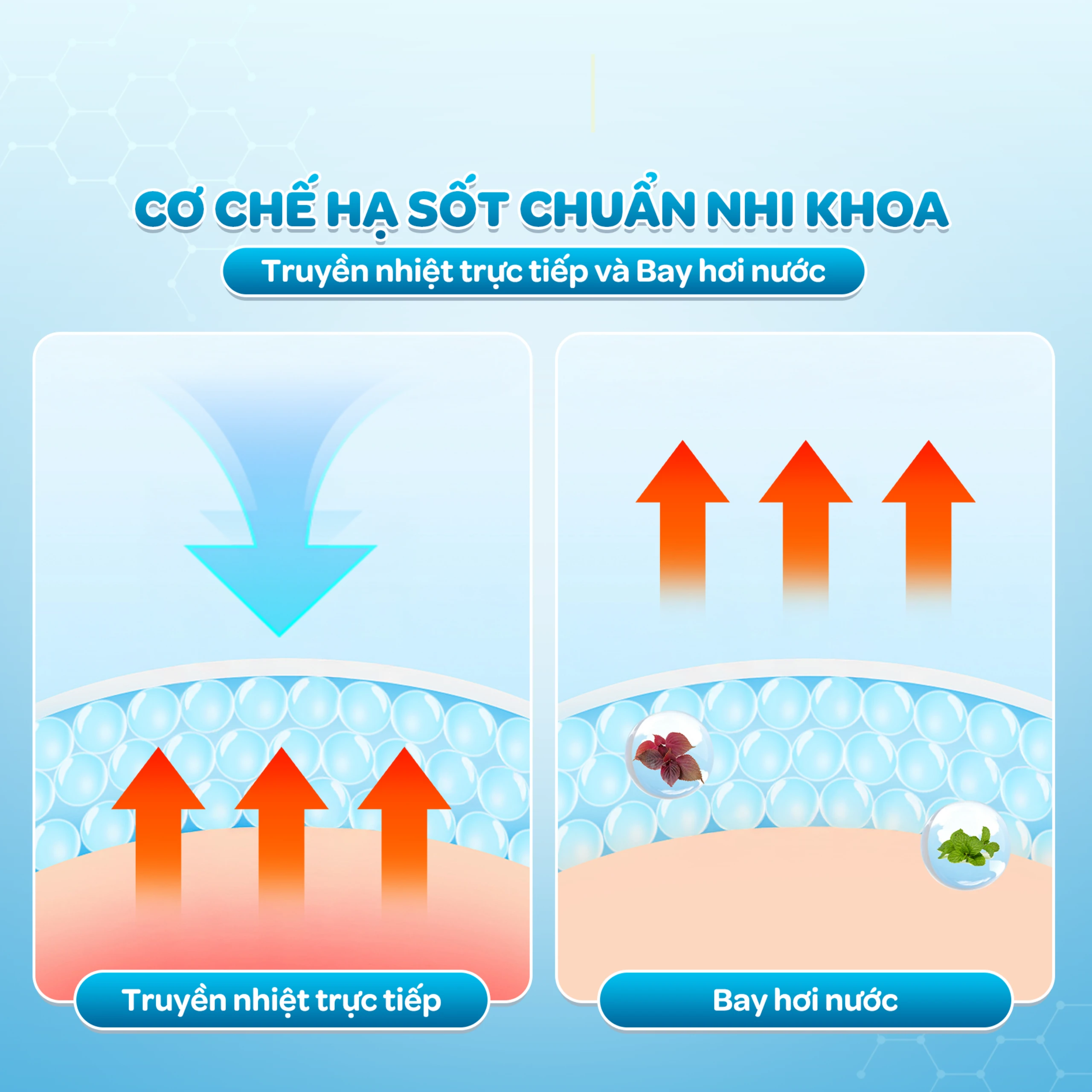 Khăn hạ sốt Dr.Papie 3M0+ Starmed (5 gói x 5 miếng) hạ nhiệt giảm sốt dùng cho trẻ từ 3 tháng tuổi