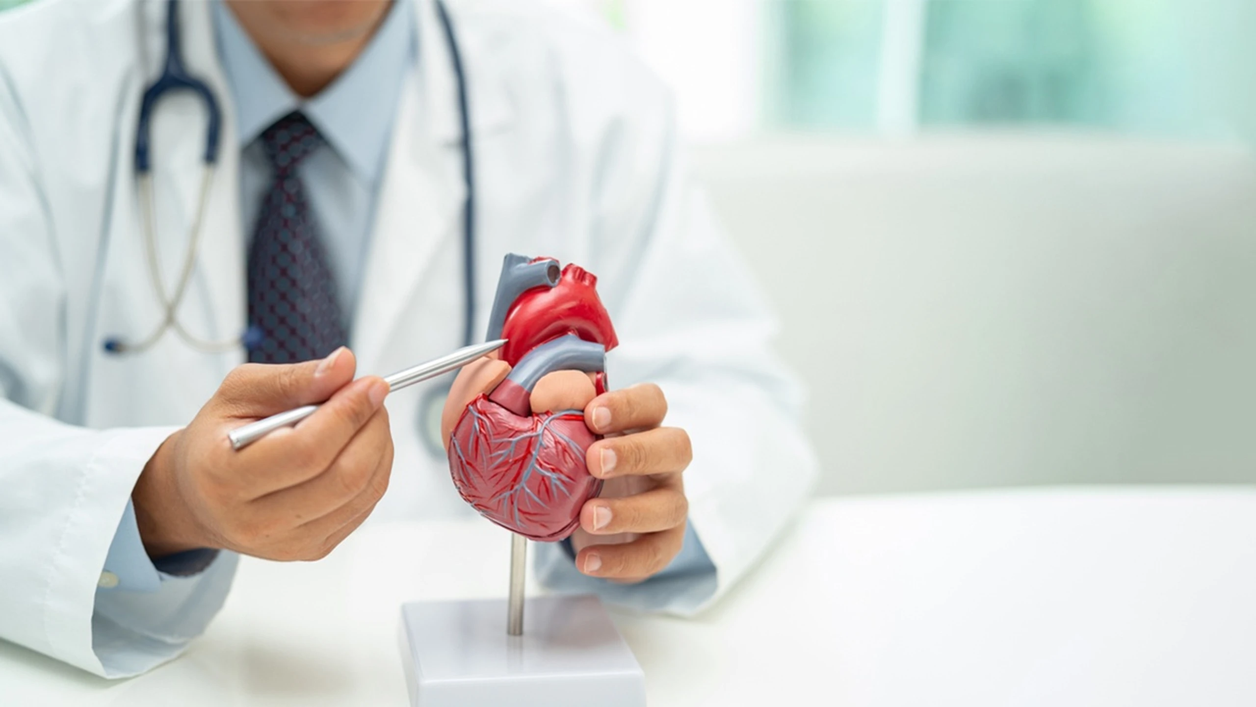 Khối u tim lành tính là gì? Cách chẩn đoán và phương pháp điều trị