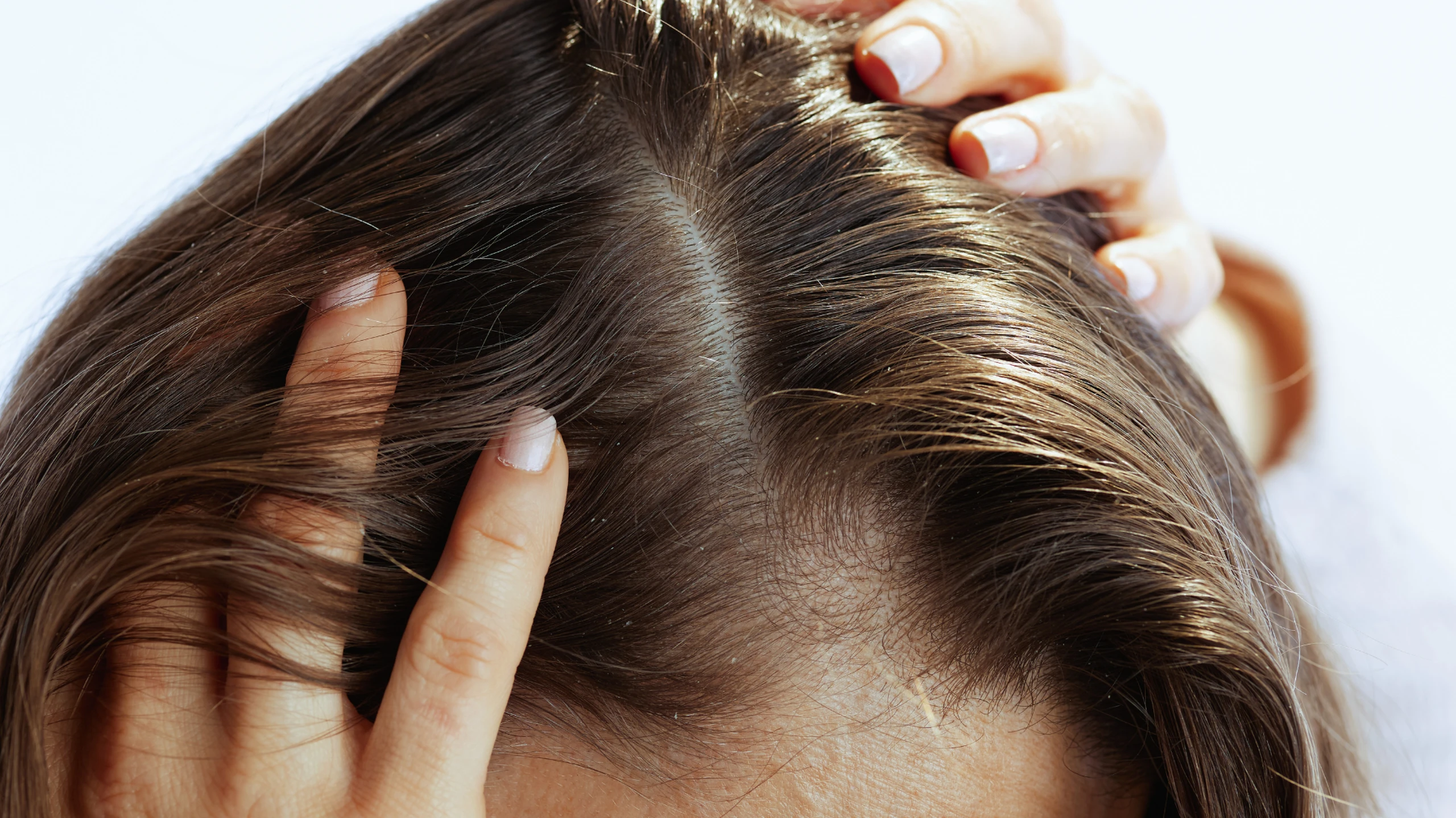 Không đổi dầu gội, tôi chỉ đổi cách gội đầu và mái tóc đã khác hoàn toàn