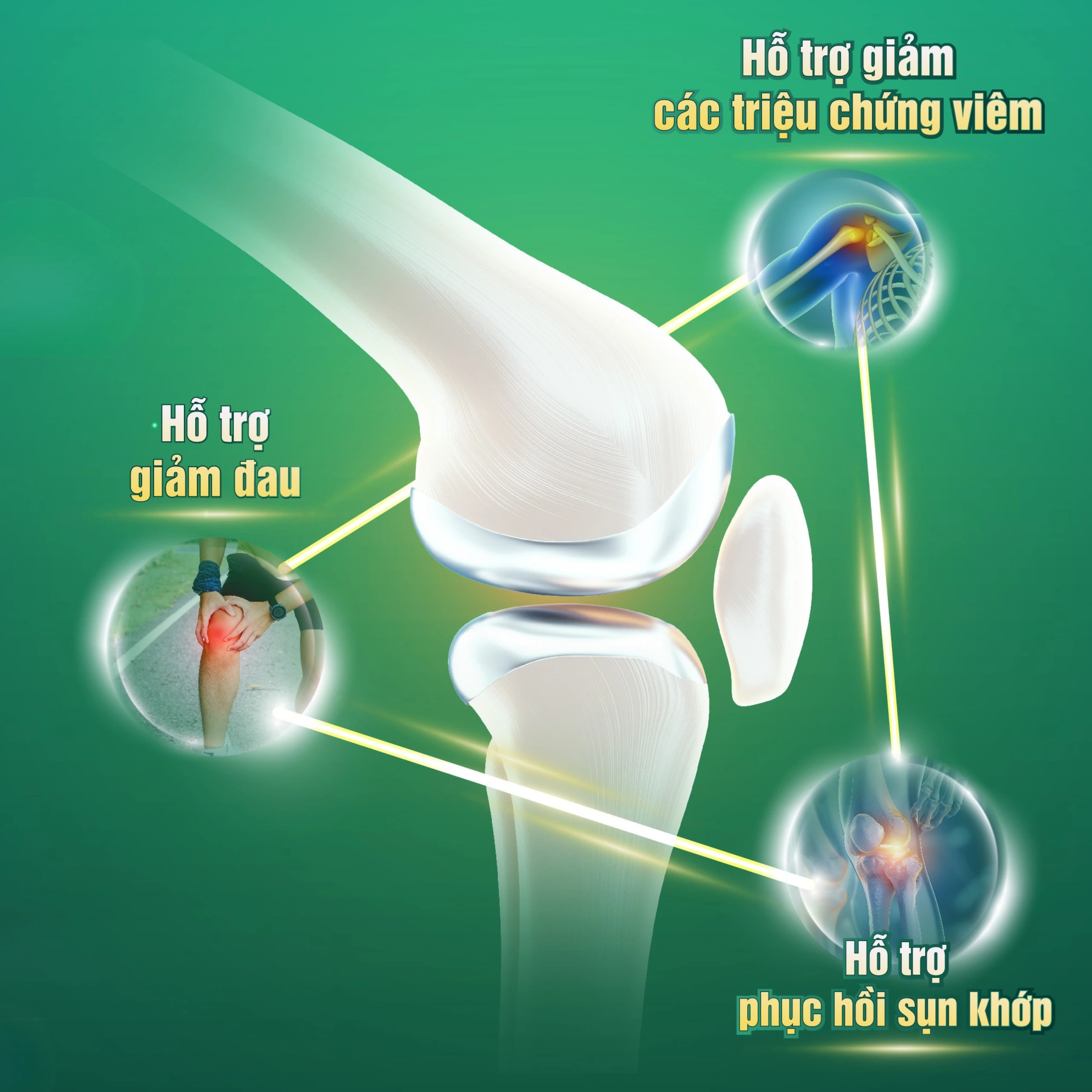 Viên làm trơn khớp và phục hồi sụn khớp Khương Thảo Đan Gold (30 viên) 3