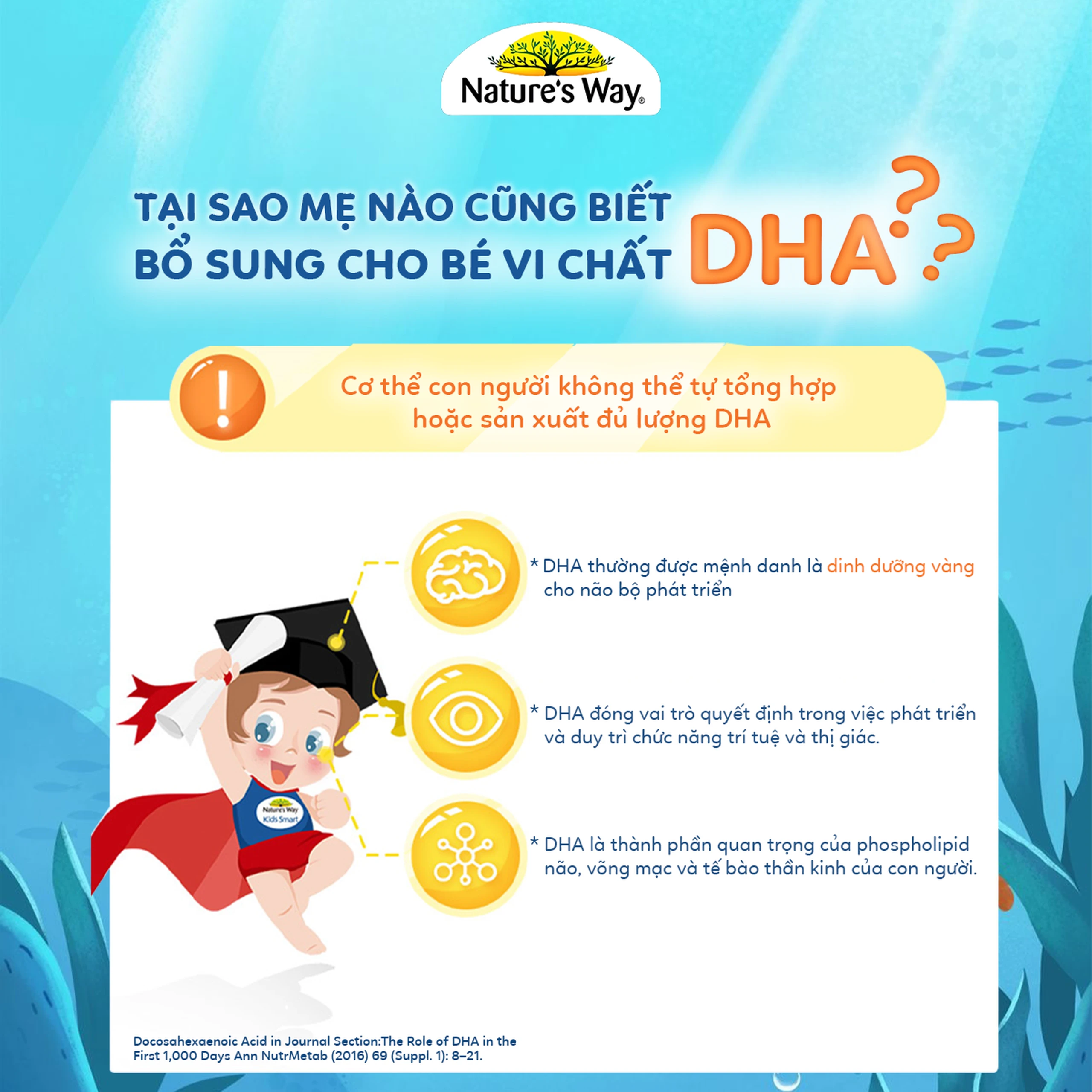 Viên nhai hỗ trợ bổ não Kids Smart Vita Gummies Omega-3 DHA Fish Oil Nature's Way (60 viên) 4