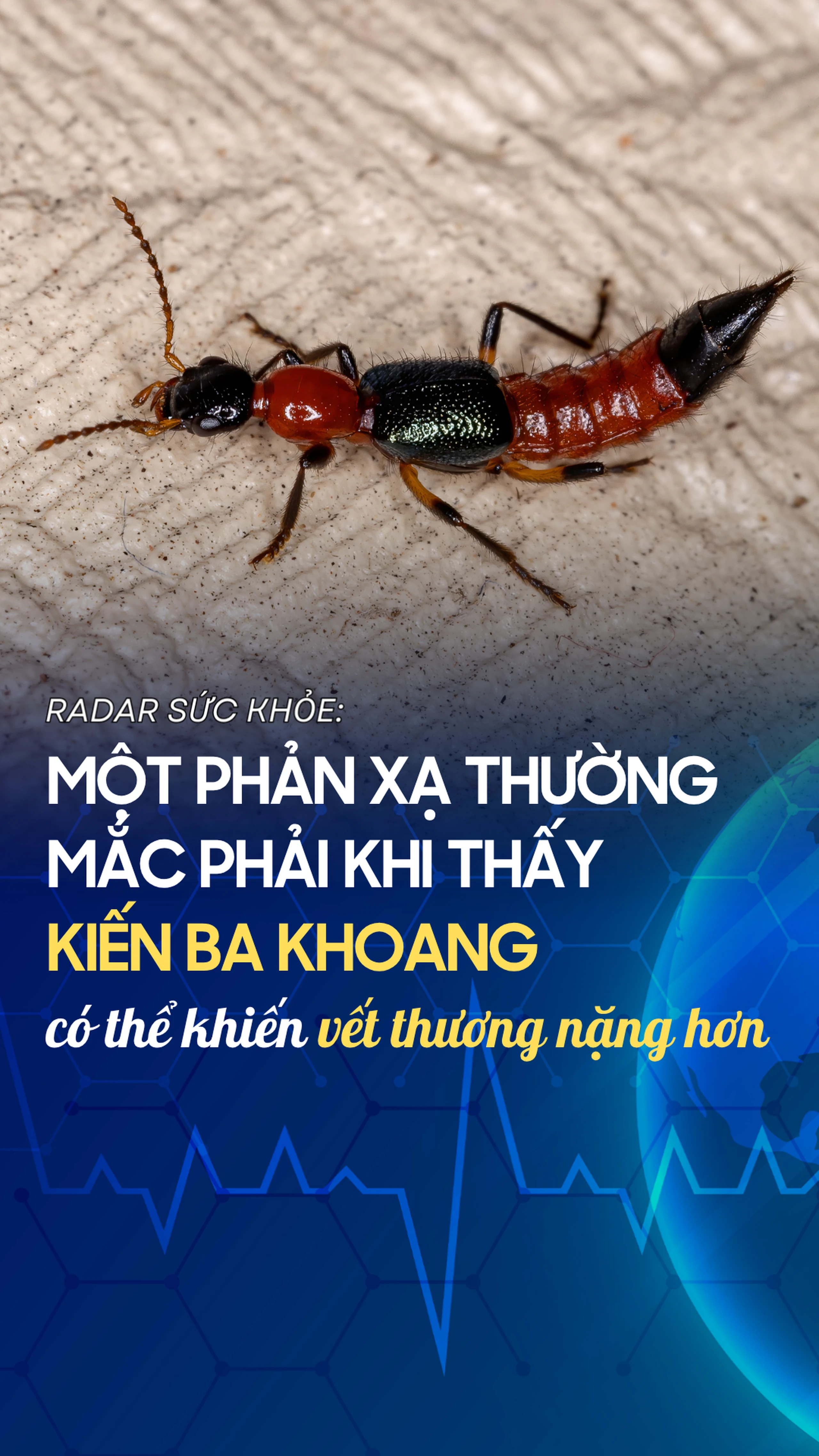 Nhà thuốc Long Châu