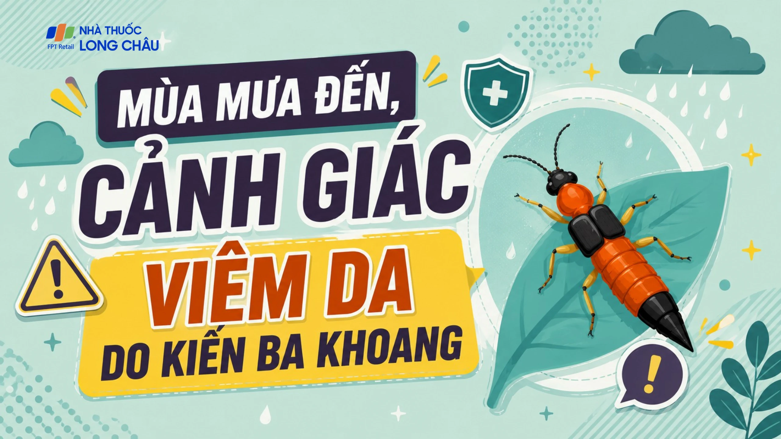 Mùa mưa dễ gặp kiến ba khoang, bạn đã biết cách xử trí đúng?