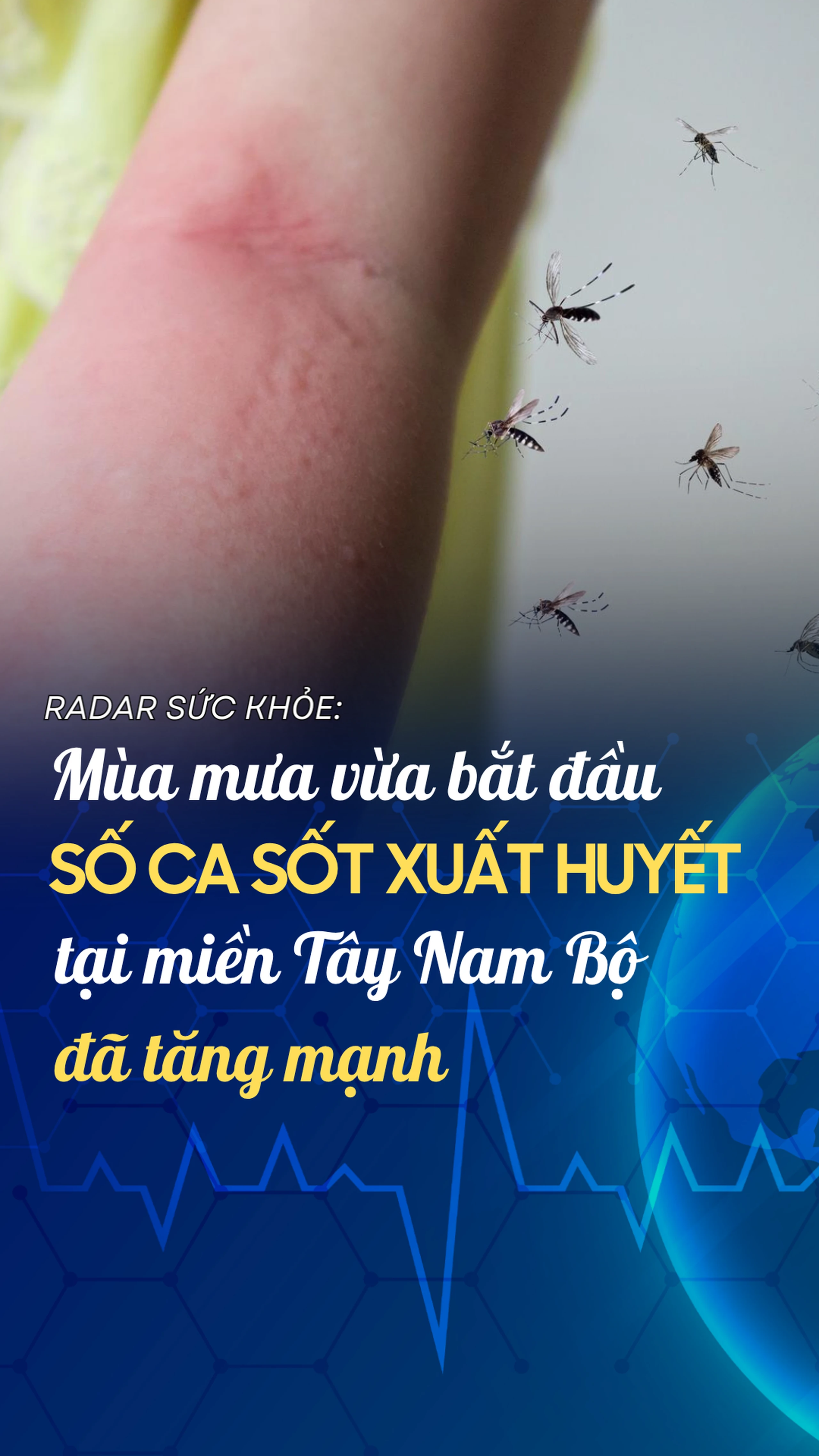 Nhà thuốc Long Châu