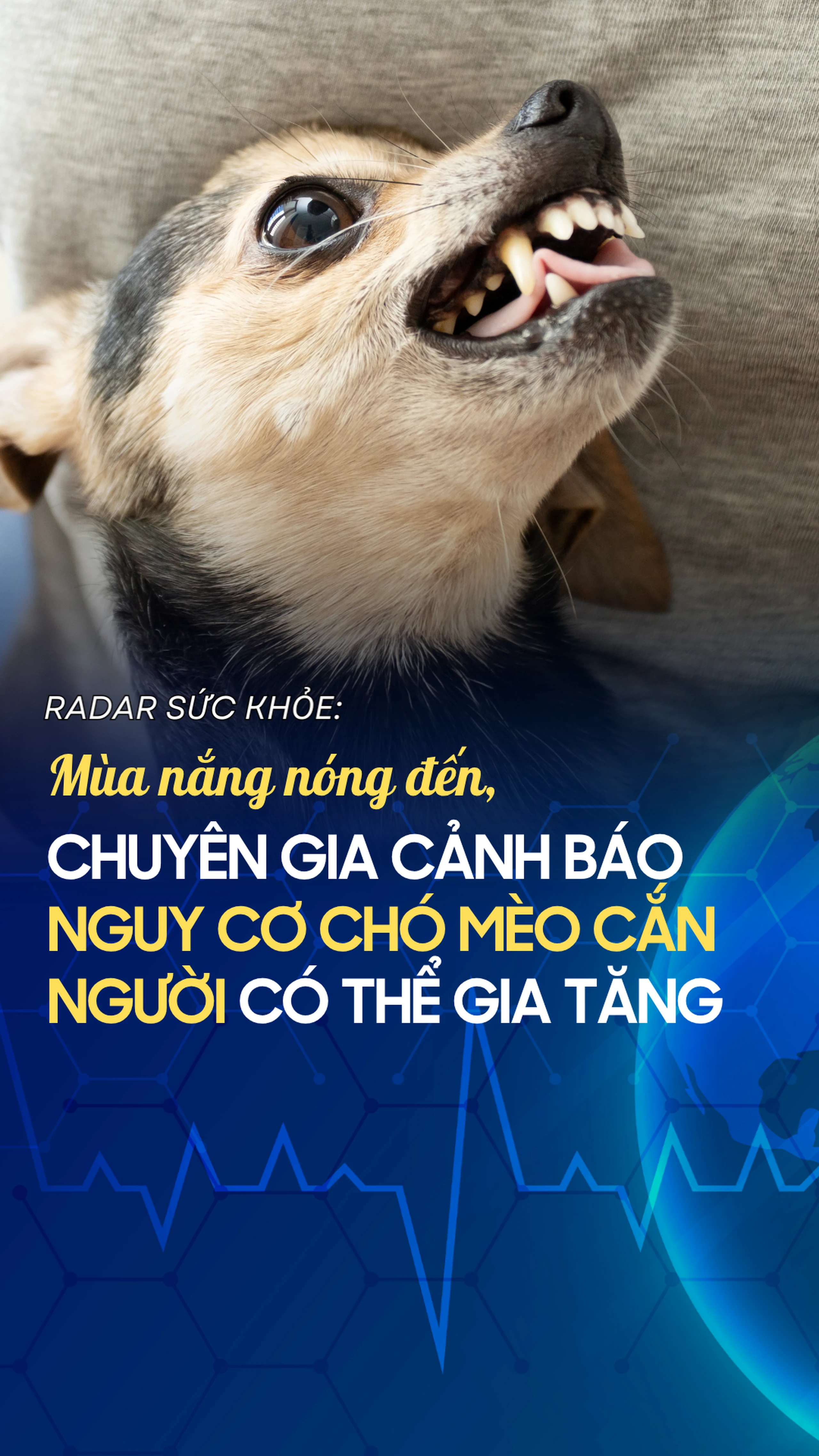 Nhà thuốc Long Châu