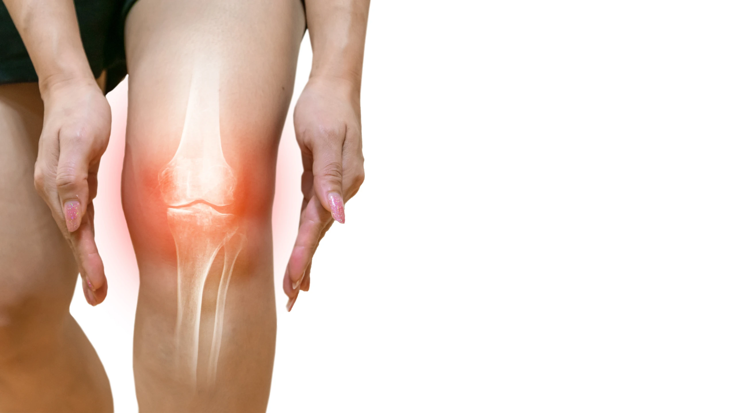 Muốn xương chắc khỏe, nên ăn rau đay hay rong biển?