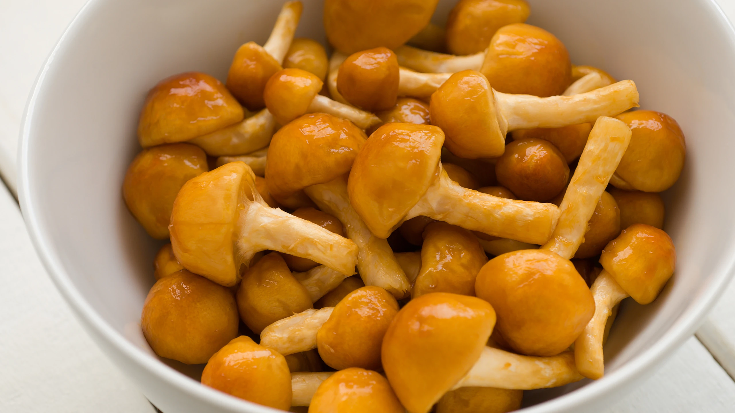 Nấm Nameko là gì? Lợi ích của nấm Nameko đối với sức khỏe