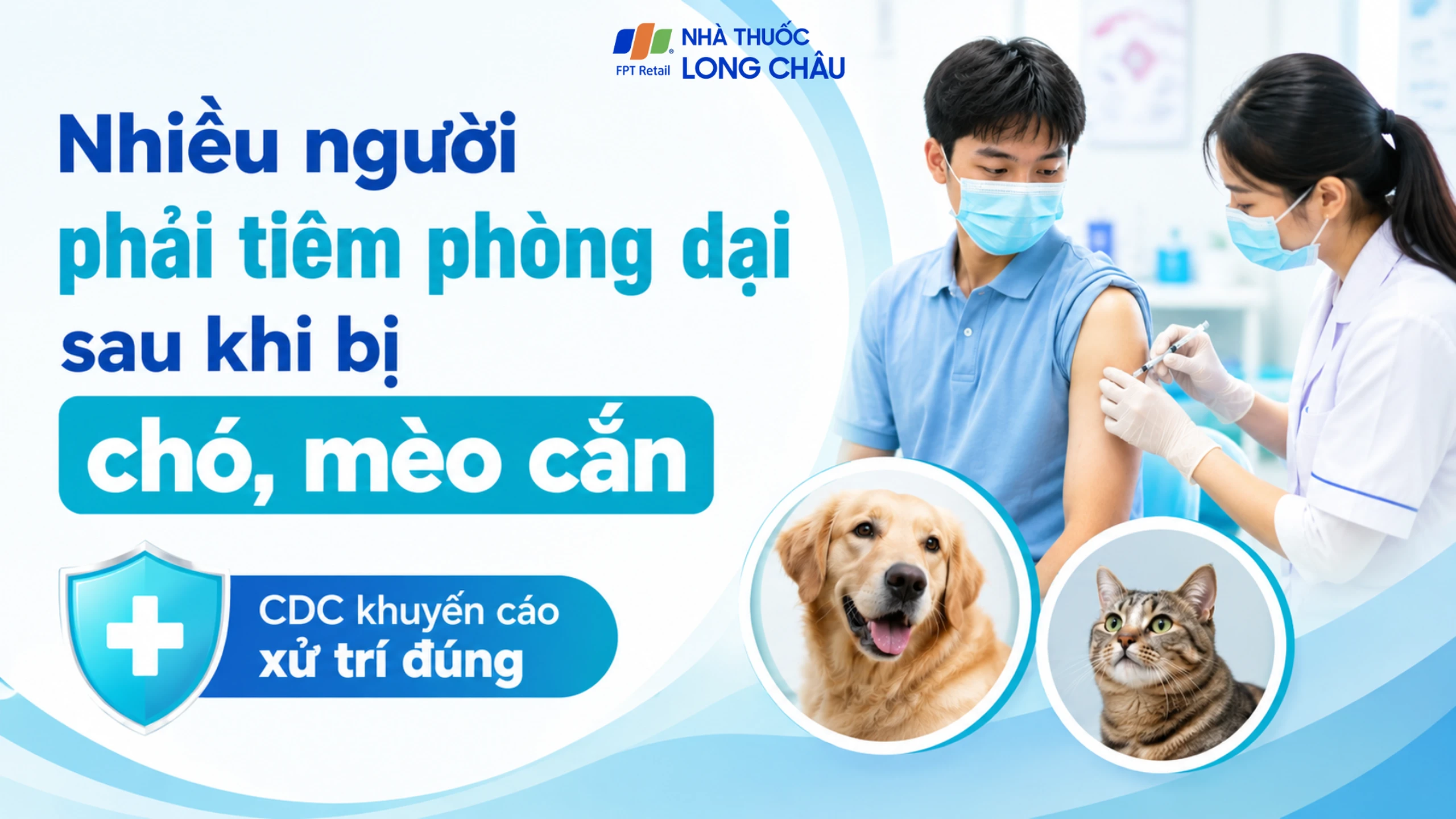 Nhiều người phải tiêm phòng dại sau khi bị chó, mèo cắn, CDC khuyến cáo xử trí đúng