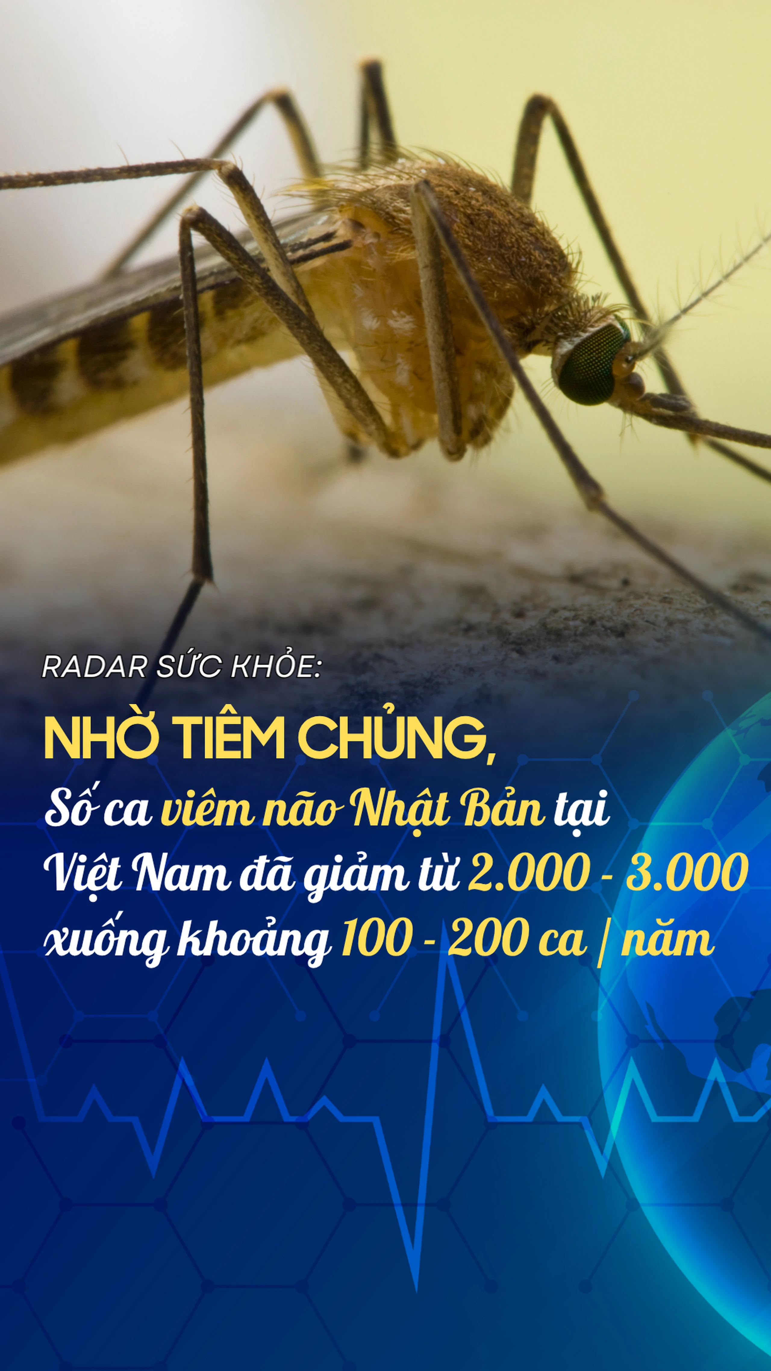 Nhà thuốc Long Châu