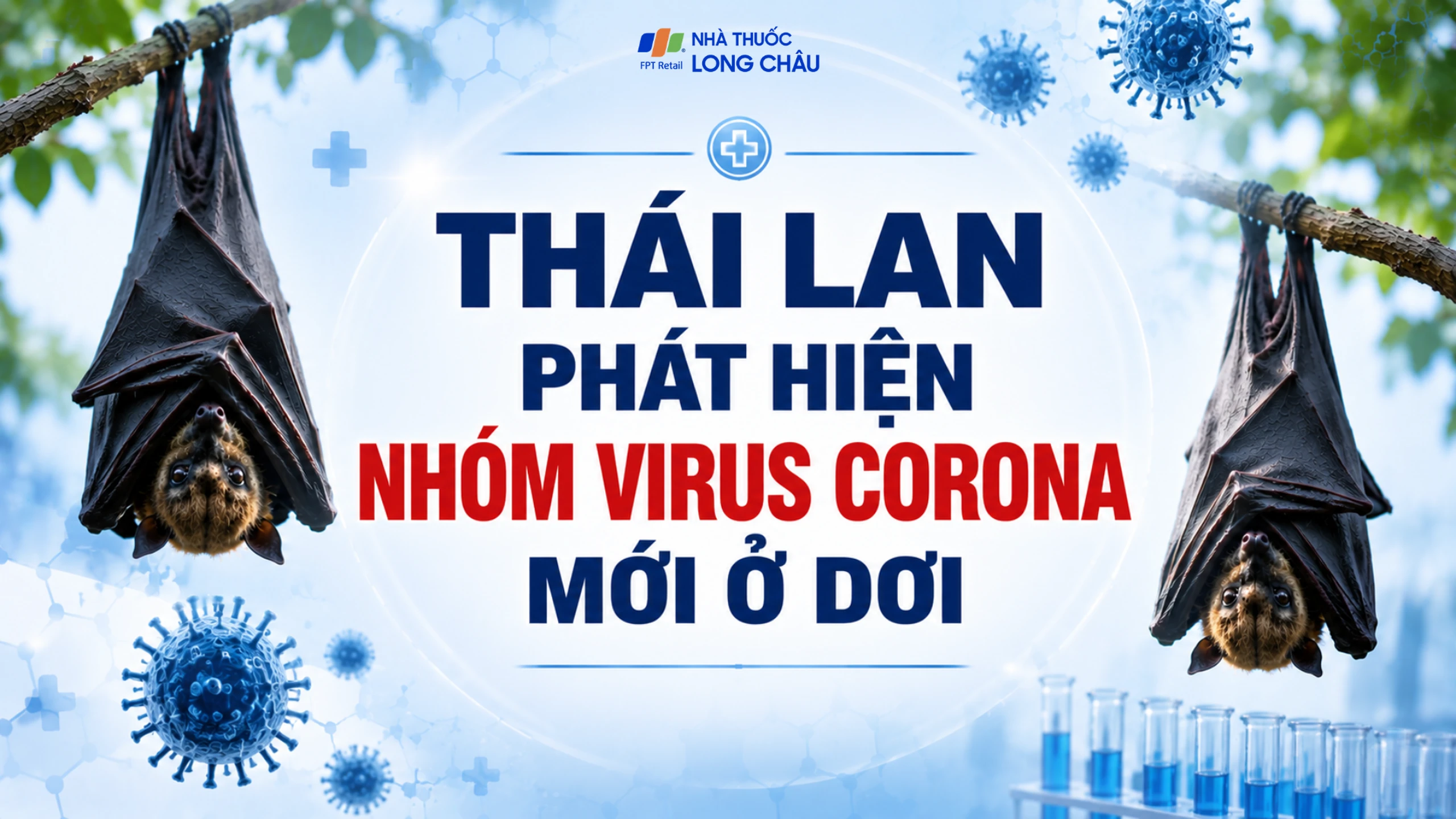 Phát hiện nhóm virus corona mới ở dơi: Phòng ngừa thế nào cho an toàn?