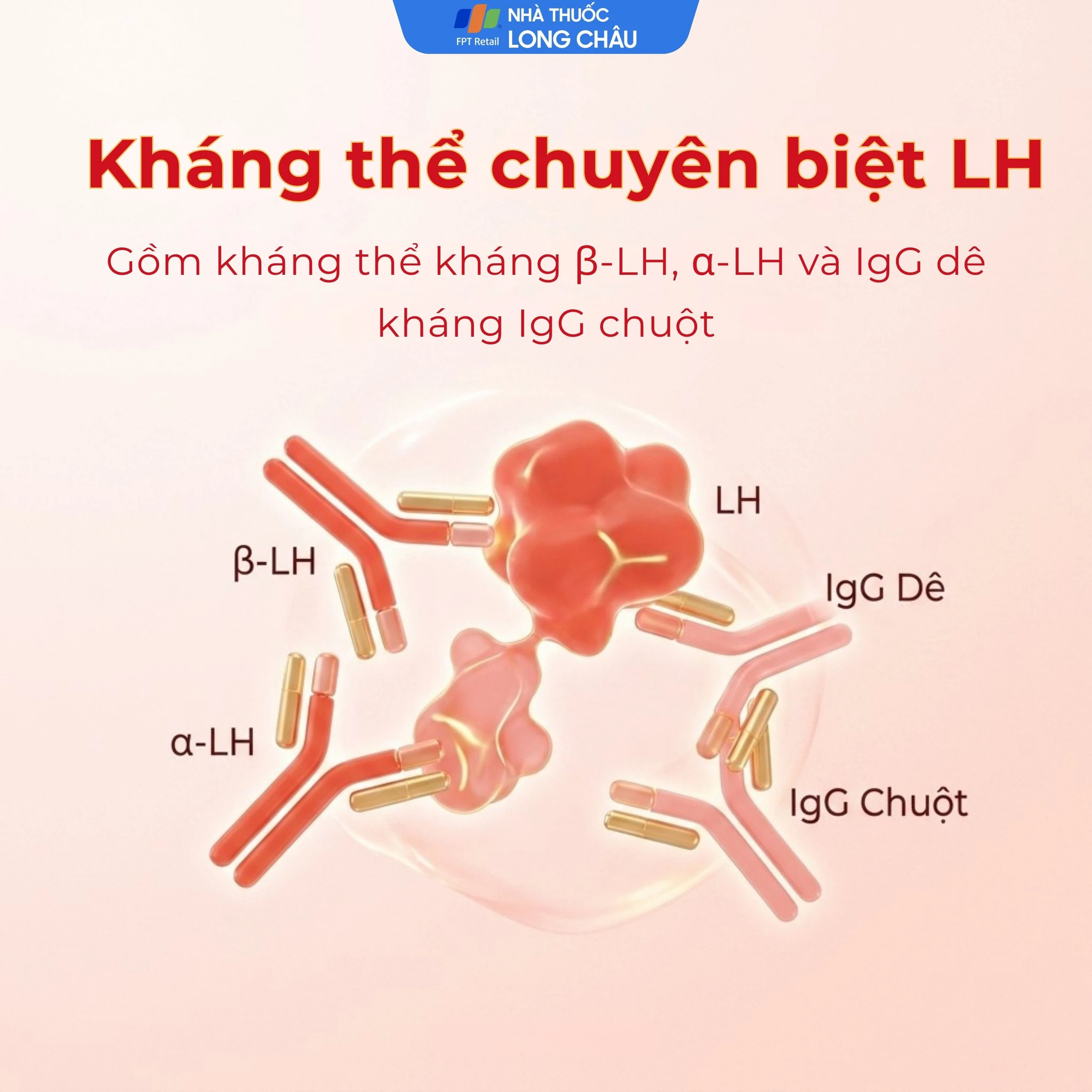 Que thử rụng trứng Safefit test (7 cái) dùng xác định ngày rụng trứng nhanh chóng, đơn giản 5