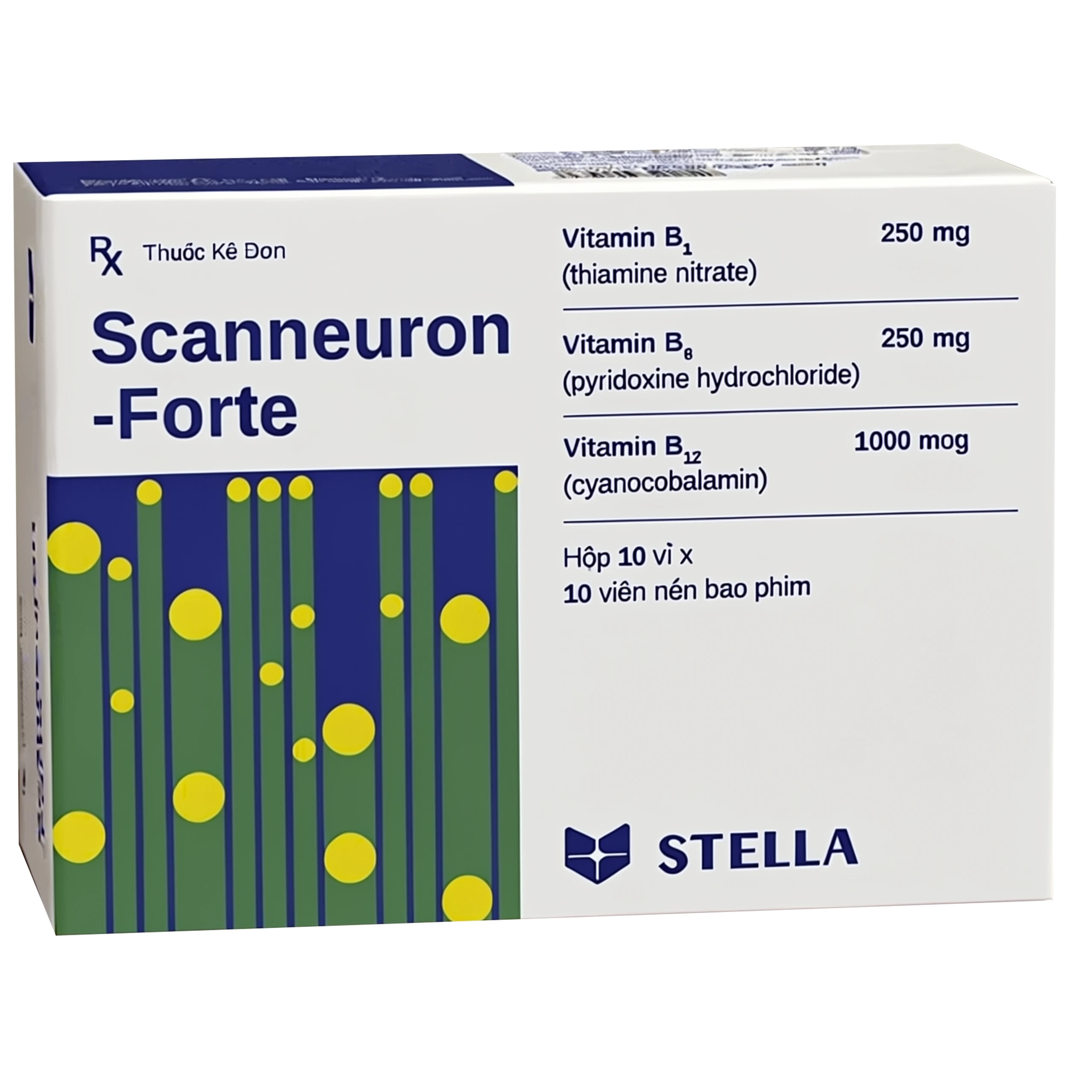 Thuốc Scanneuron-Forte Stella điều trị hỗ trợ các rối loạn về hệ thần kinh (10 vỉ x 10 viên) 1