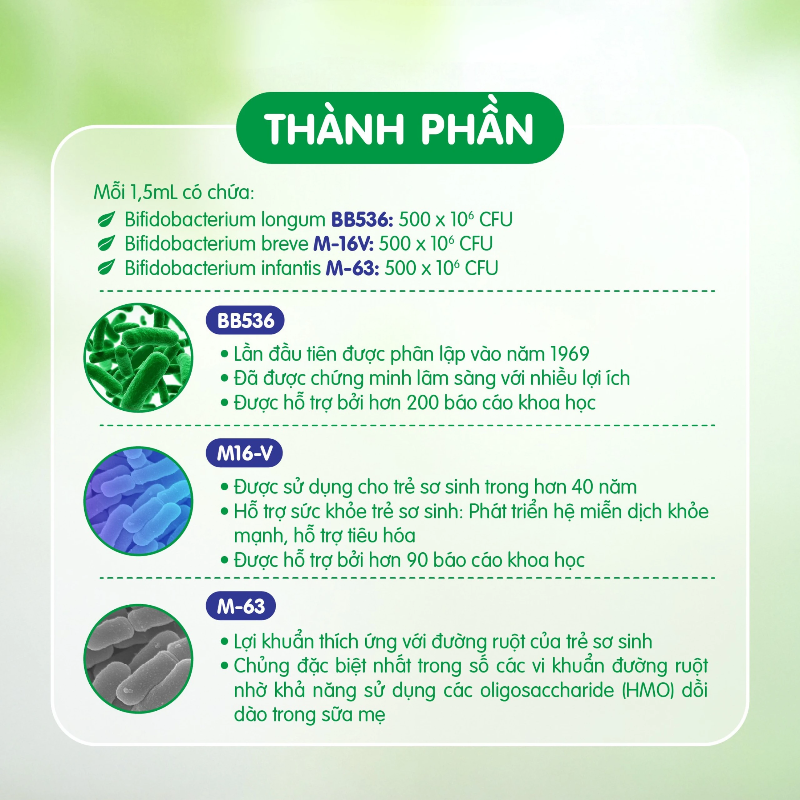 Siro giúp bổ sung lợi khuẩn, tốt cho đường ruột Immune Defence Probiotic Liquid Brauer (45ml)