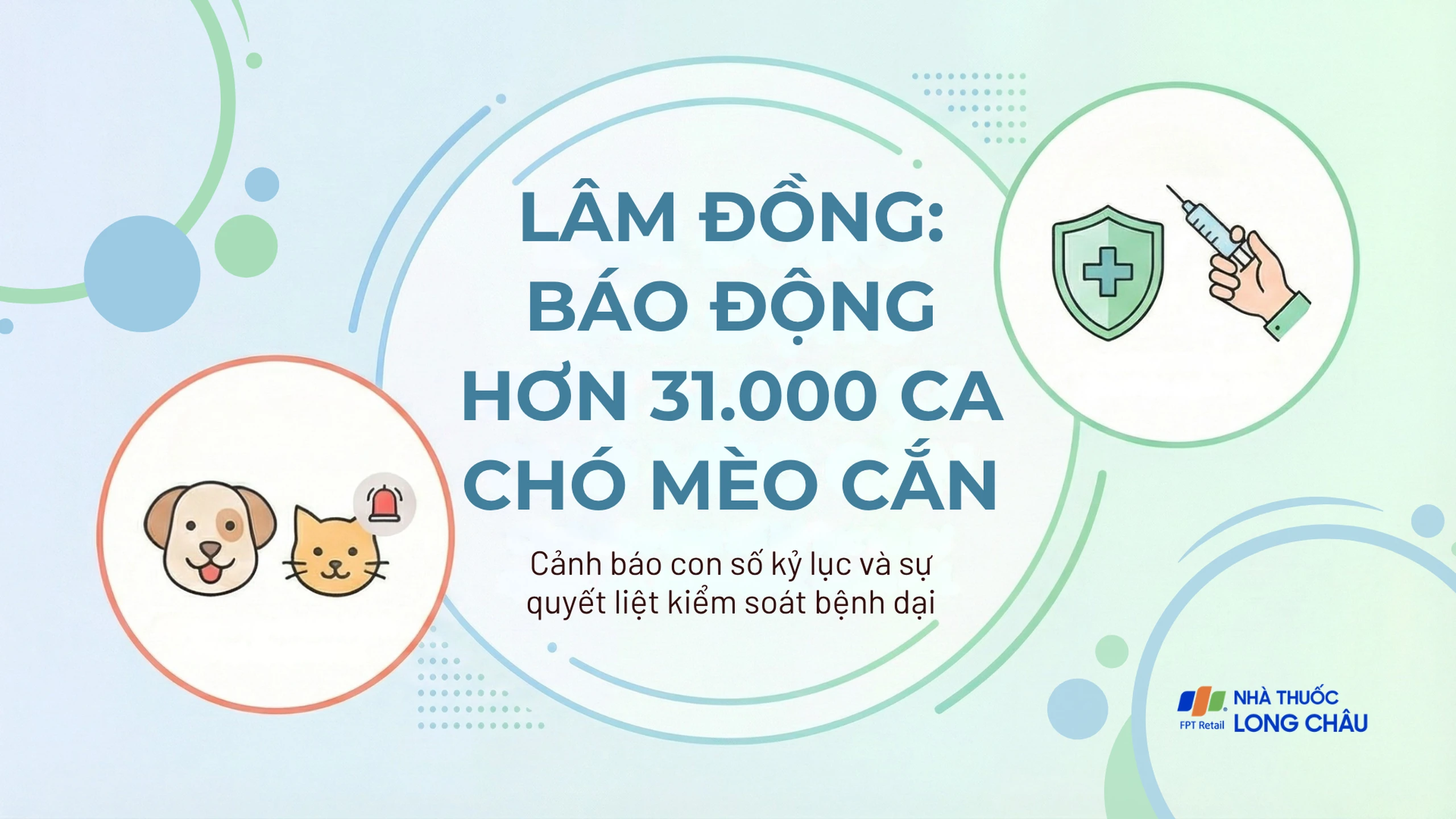 Số ca bị chó mèo cắn vượt 31.000, Lâm Đồng tăng tốc kiểm soát bệnh dại