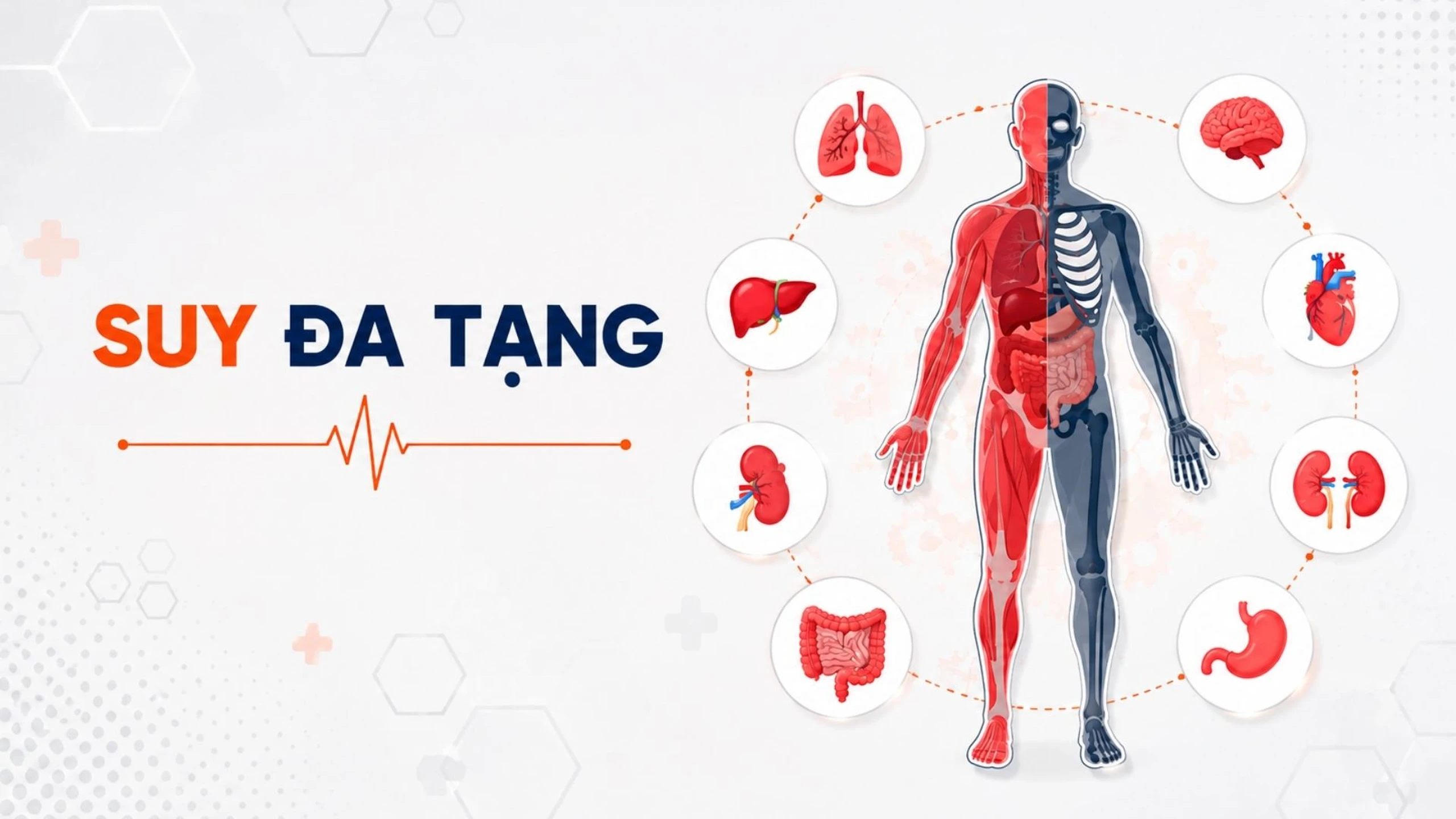 Nhà thuốc Long Châu