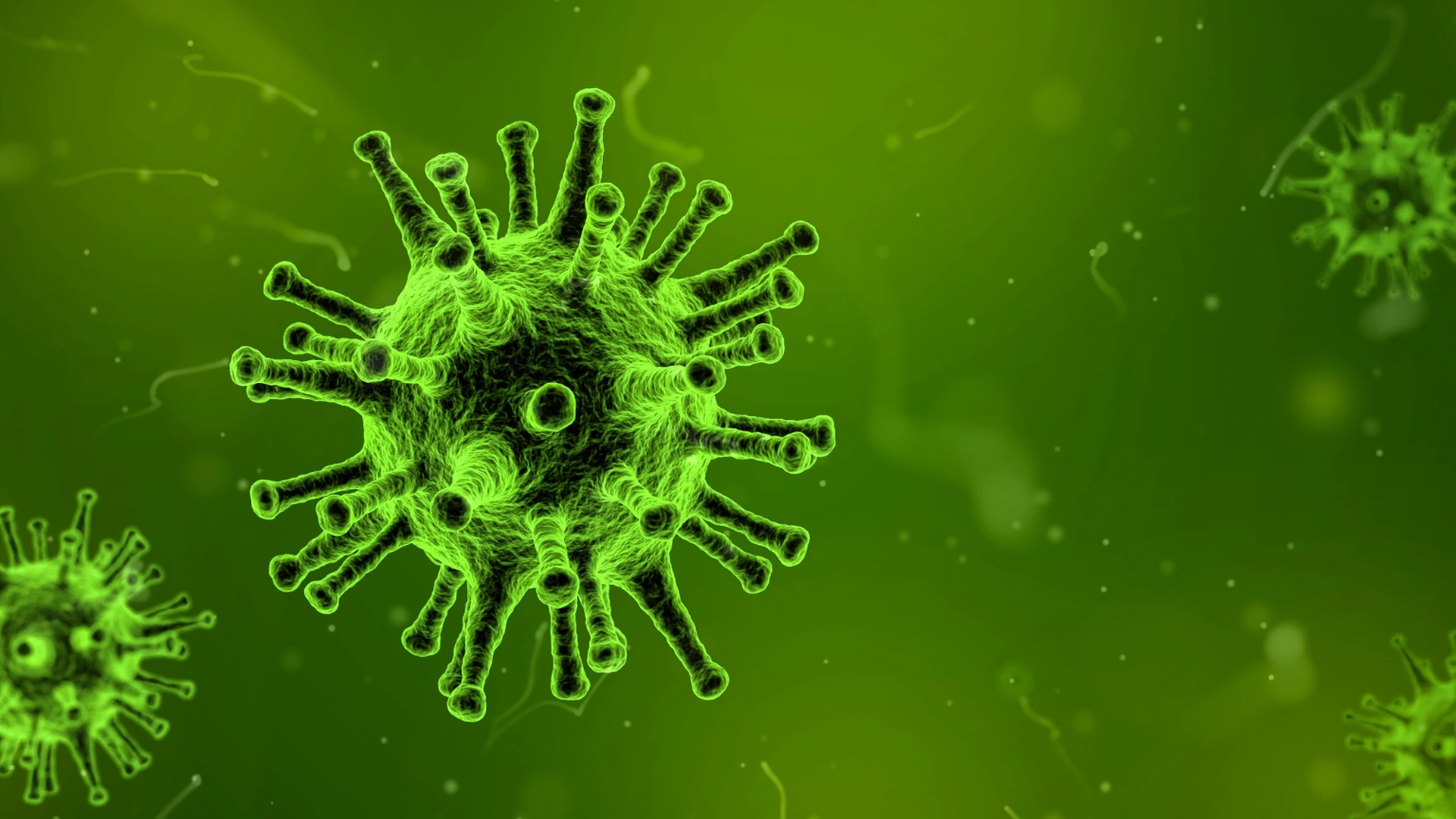 Tại sao virus cúm phát triển mạnh vào mùa đông? Cách phòng ngừa bệnh cúm mùa hiệu quả 0