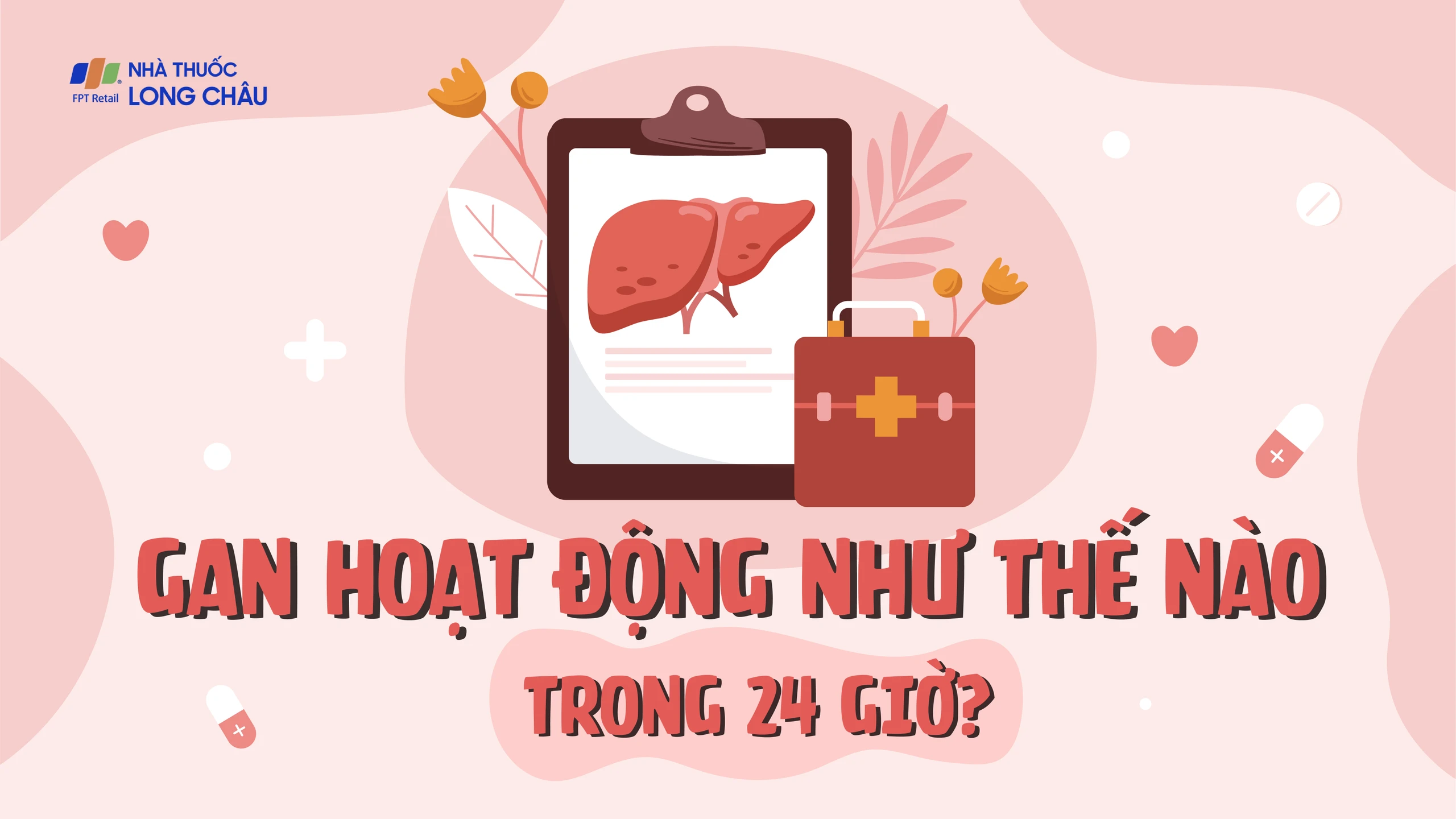 Gan hoạt động như thế nào trong 24 giờ?