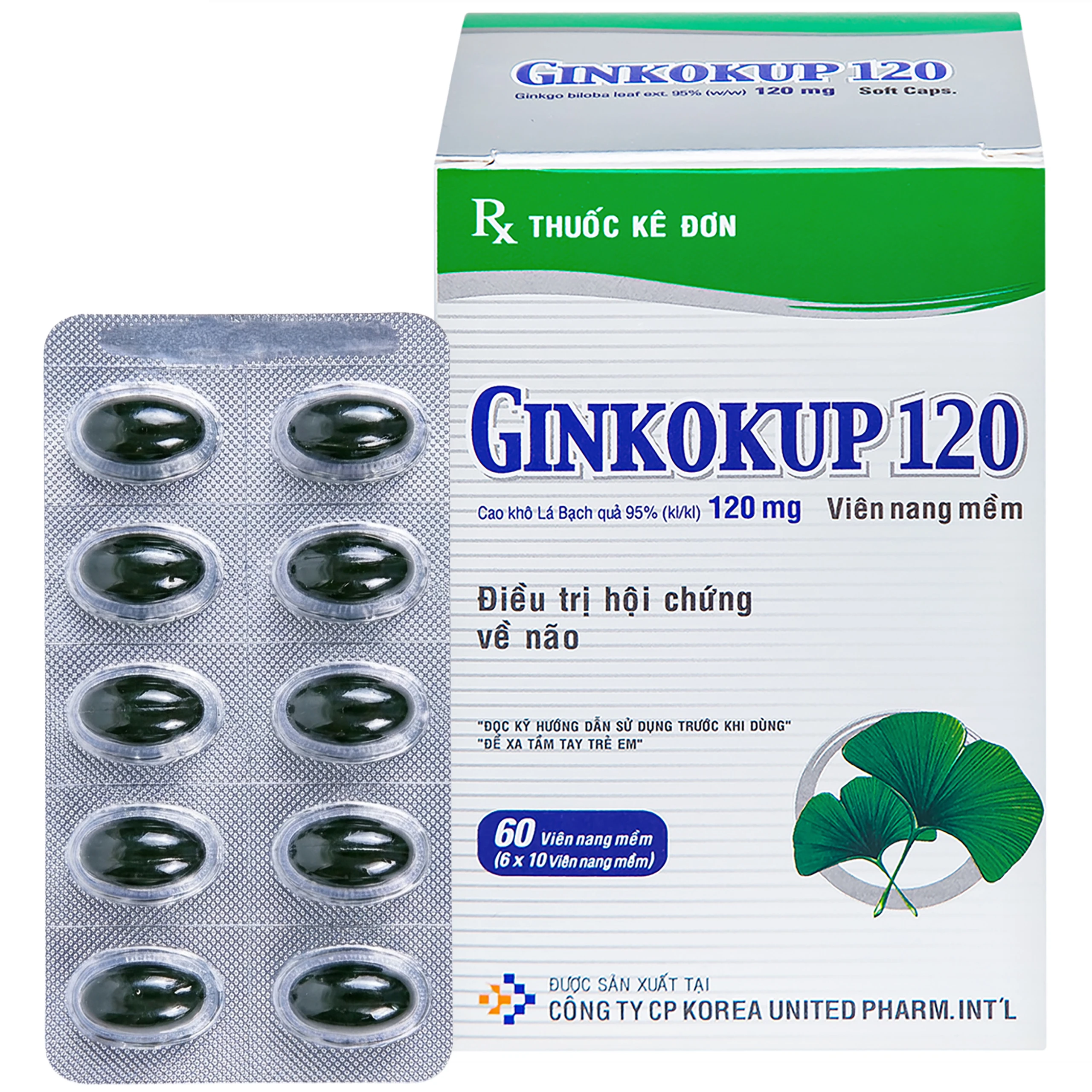 Thuốc Ginkokup 120 United điều trị bệnh sa sút trí tuệ, kể cả bệnh Alzheimer (6 vỉ x 10 viên) 1