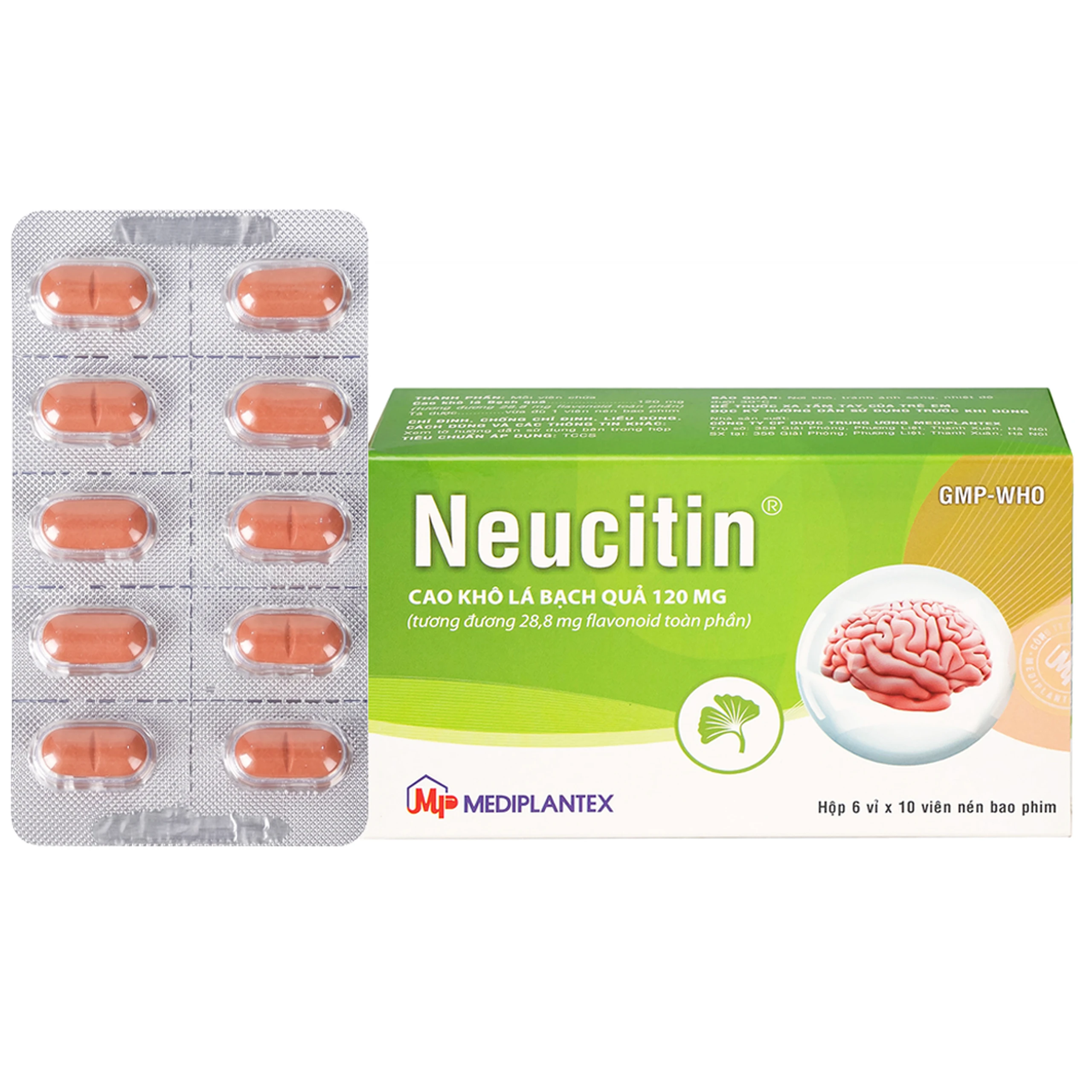 Thuốc Neucitin 120mg Mediplantex điều trị mất trí nhớ ngắn hạn (6 vỉ x 10 viên)