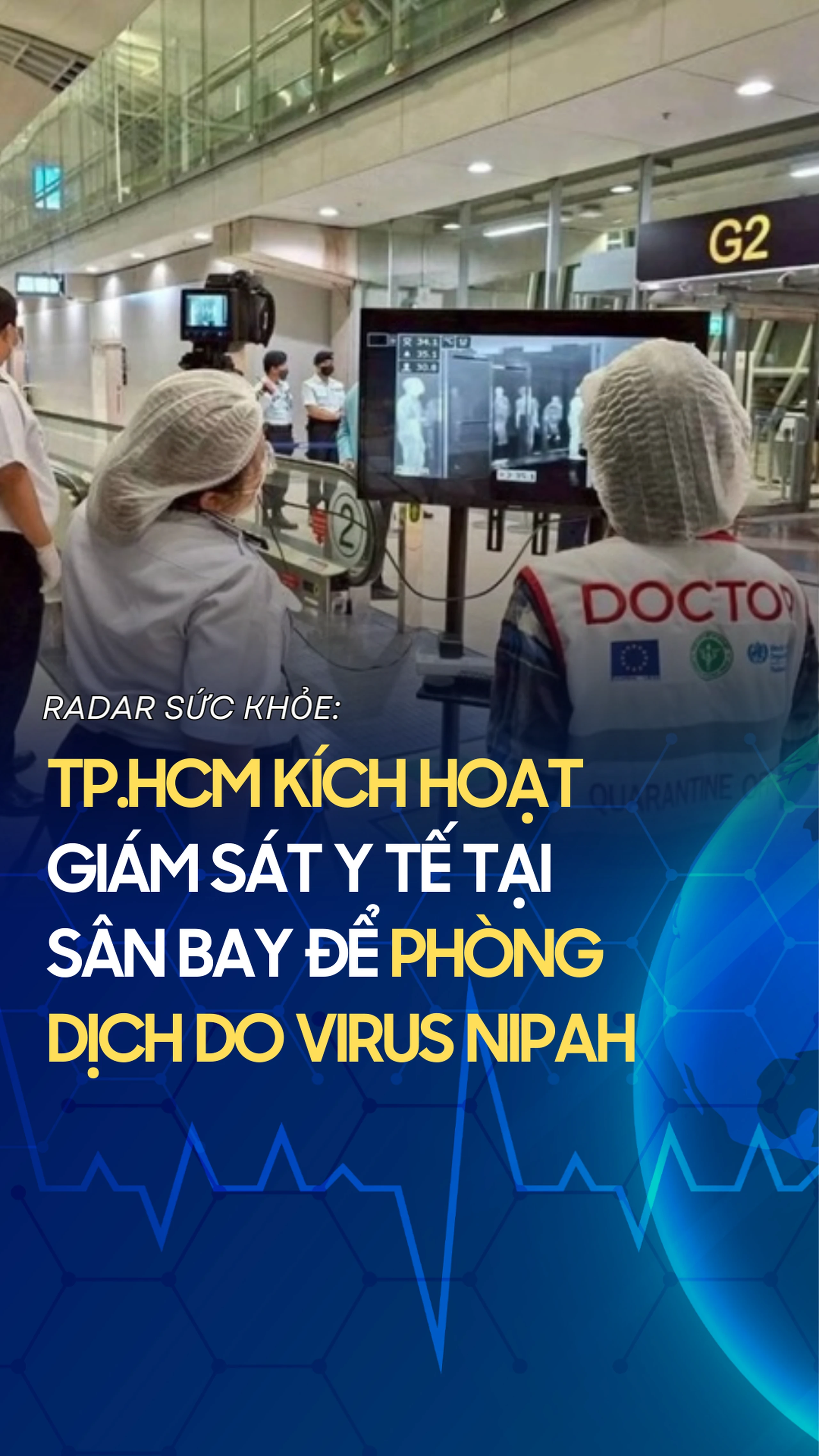 TP.HCM kích hoạt giám sát y tế tại sân bay để phòng dịch do virus Nipah