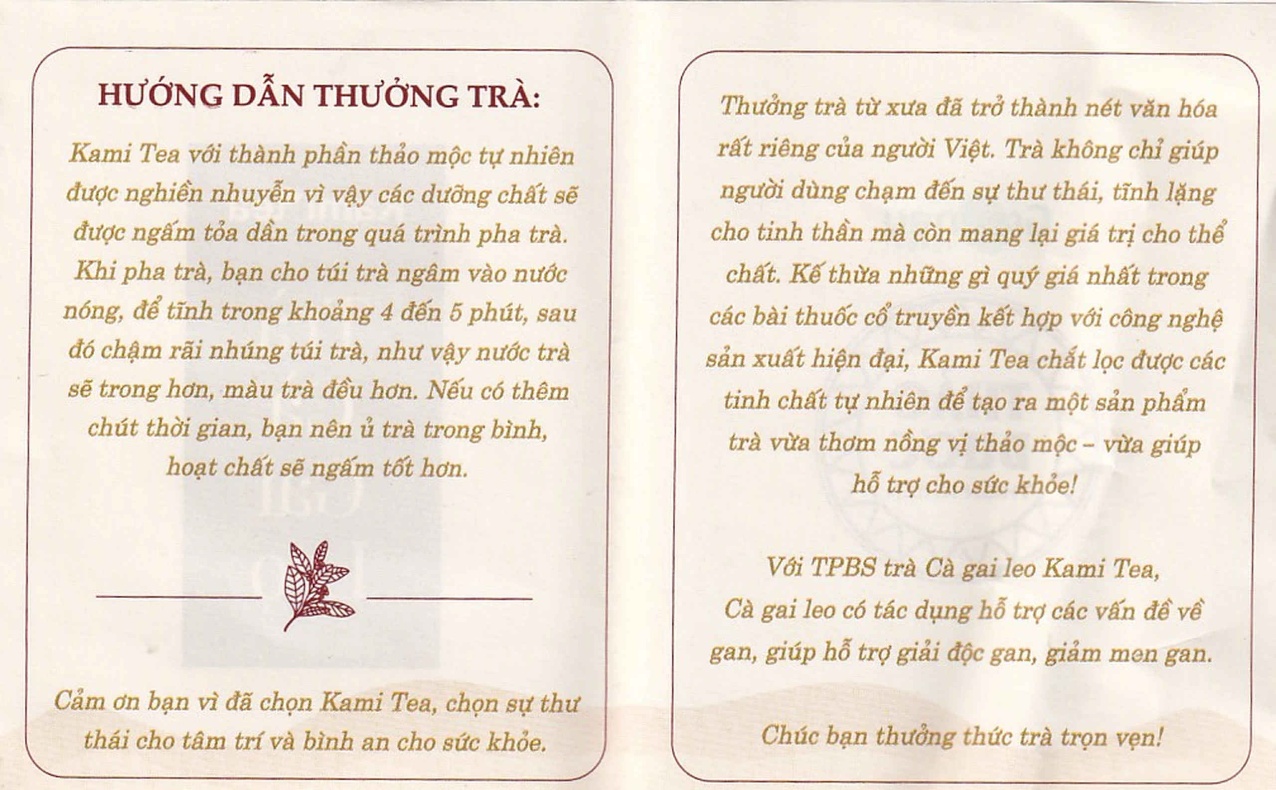 Trà Thảo Dược Cà Gai Leo Kami Tea (20 túi lọc x 2g)