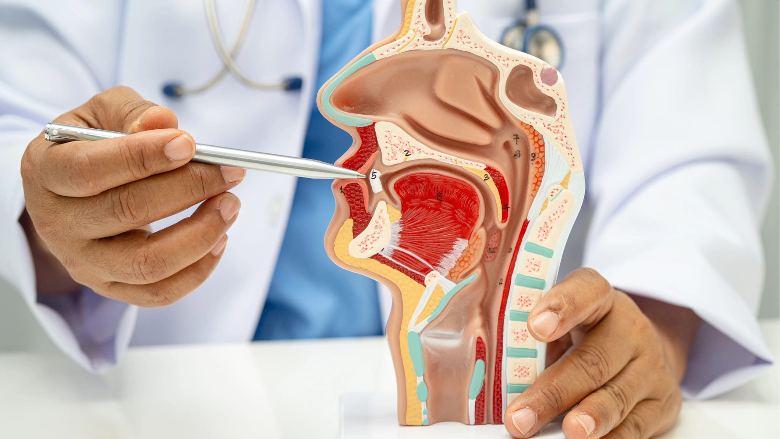 Ung thư đầu cổ: Định nghĩa và các loại ung thư thường gặp
