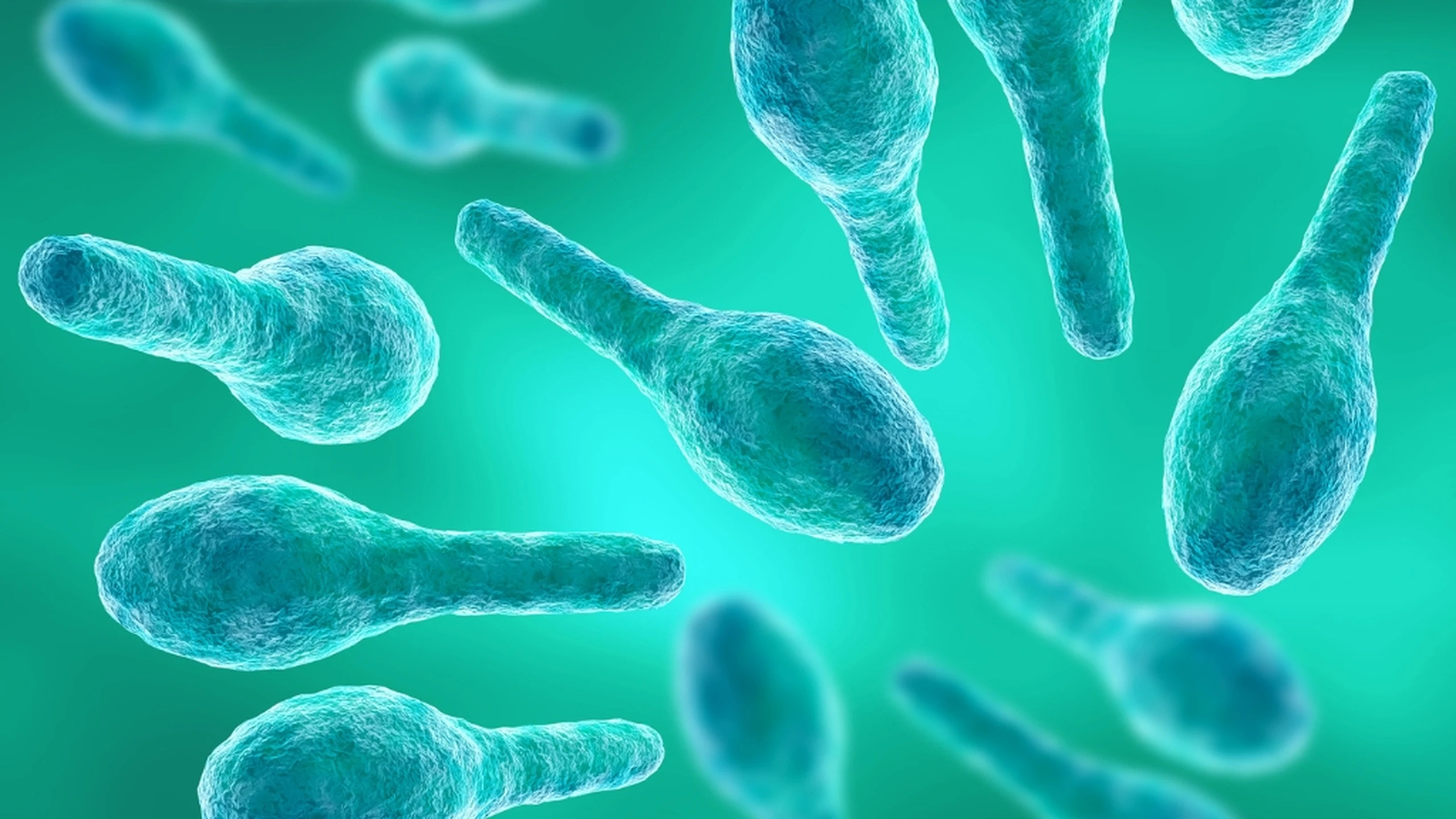 Uốn ván nguy hiểm như thế nào? 8 biến chứng có thể gây tử vong