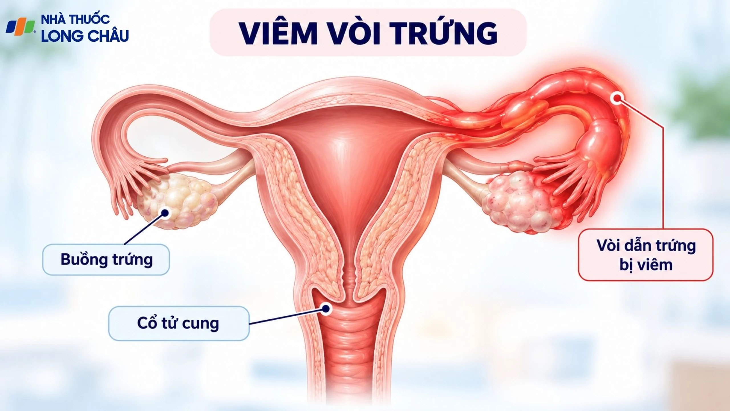 Nhà thuốc Long Châu