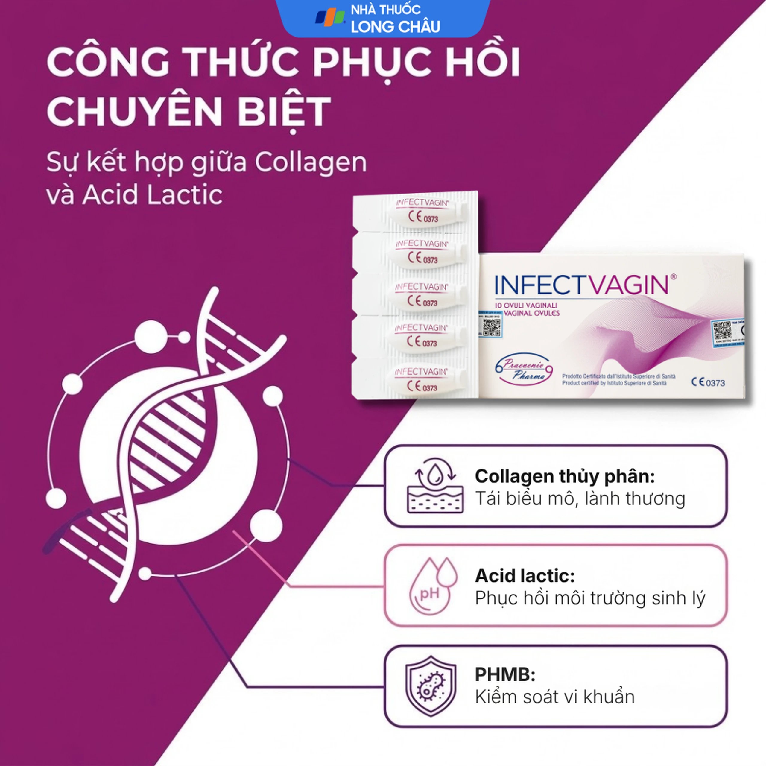 Viên đặt âm đạo Infectvagin hỗ trợ điều trị viêm cổ tử cung, teo niêm mạc âm đạo (2 vỉ x 5 viên) 3
