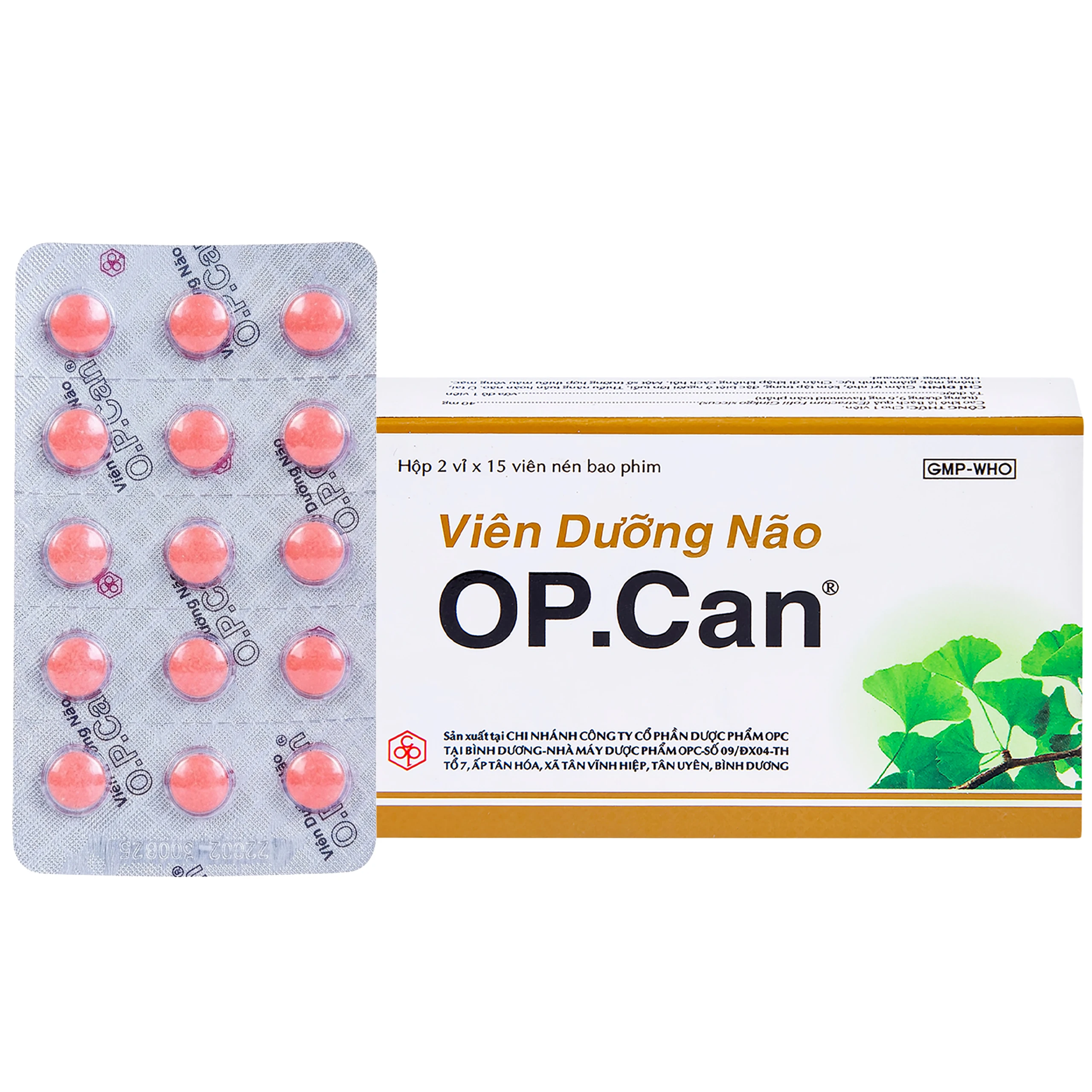 Viên dưỡng não O.P.CAN OPC điều trị giảm trí nhớ, kém tập trung, thiểu năng tuần hoàn não (2 vỉ x 15 viên) 1