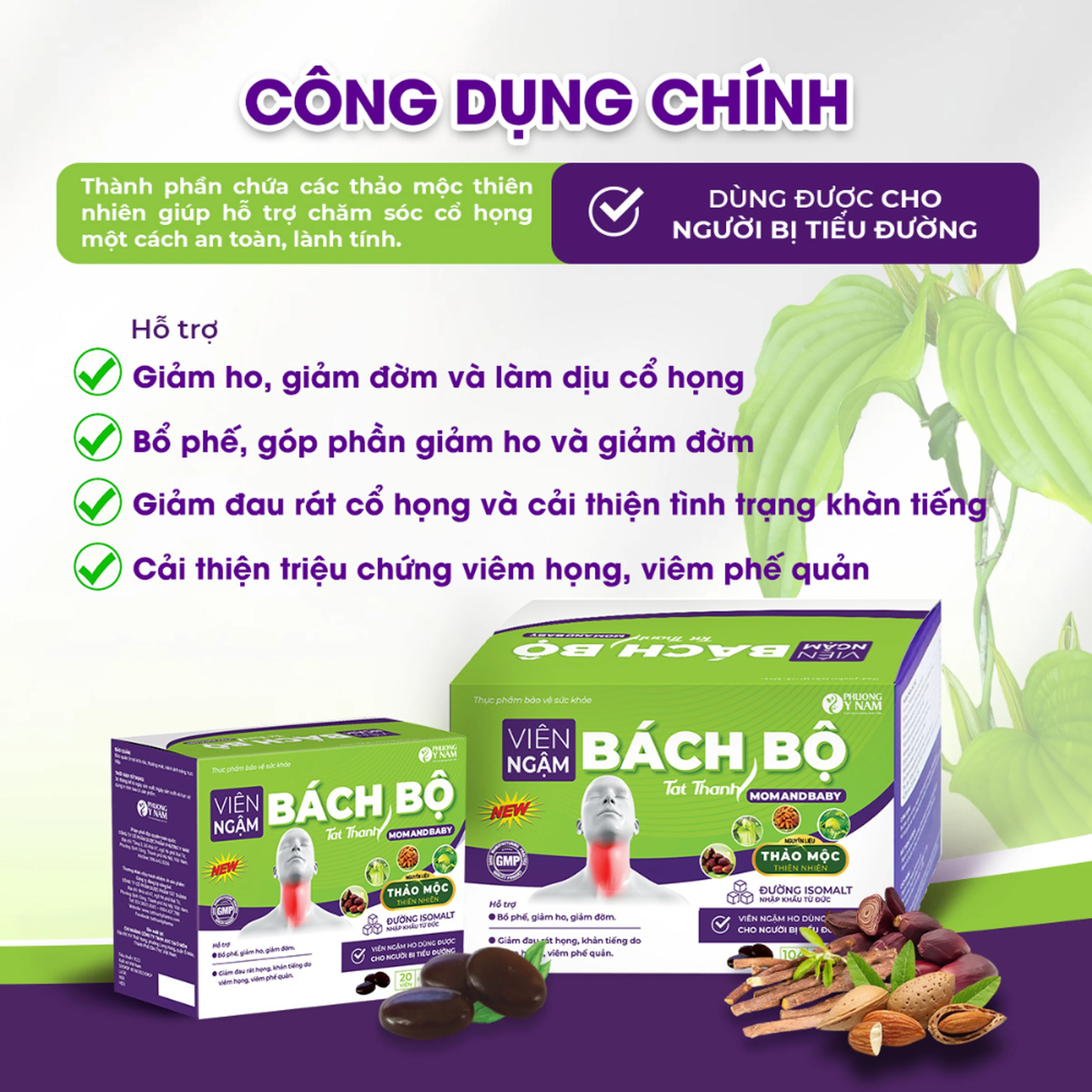 Viên ngậm Bách Bộ Momandbaby 5 vỉ x 4 viên 2