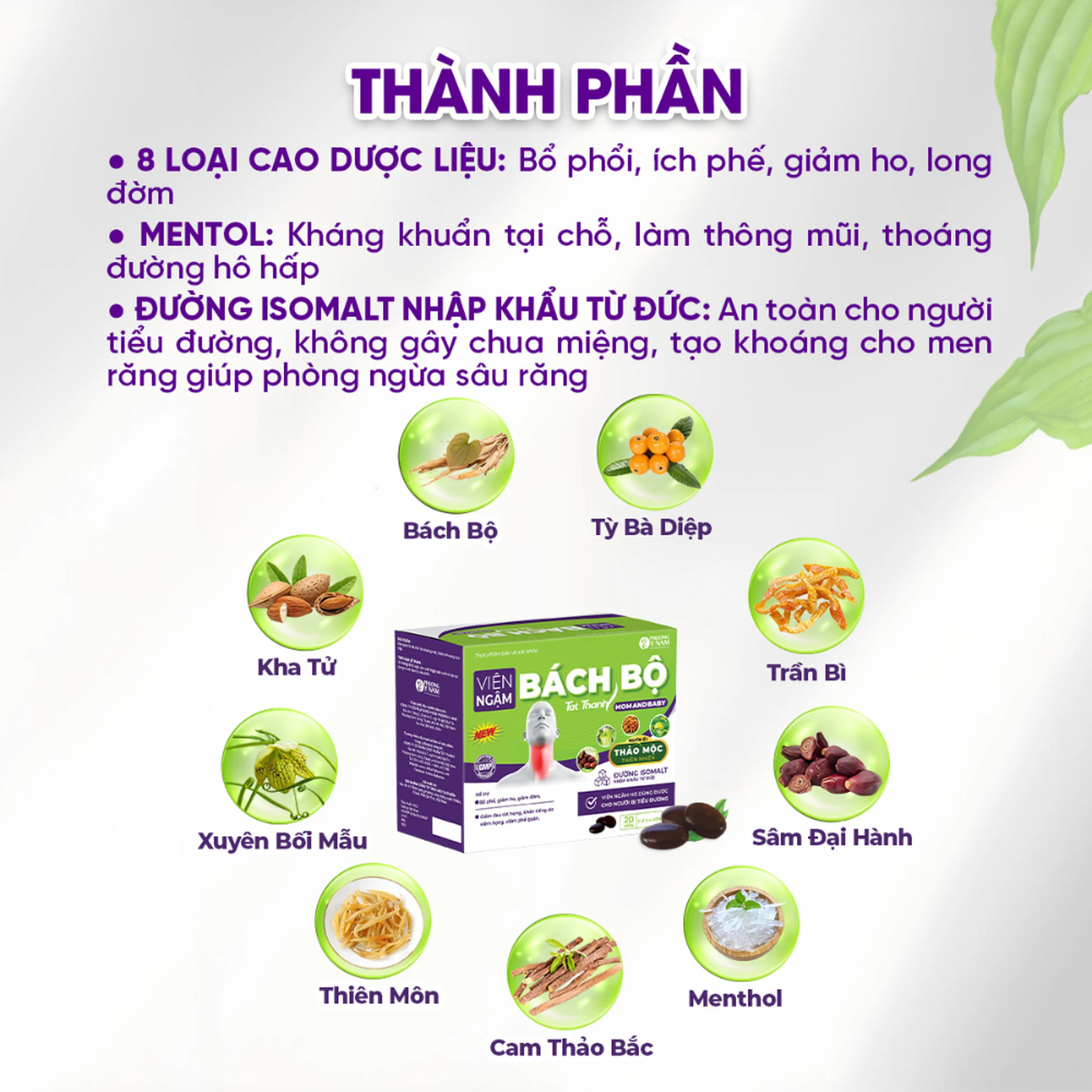 Viên ngậm Bách Bộ Momandbaby 5 vỉ x 4 viên 3