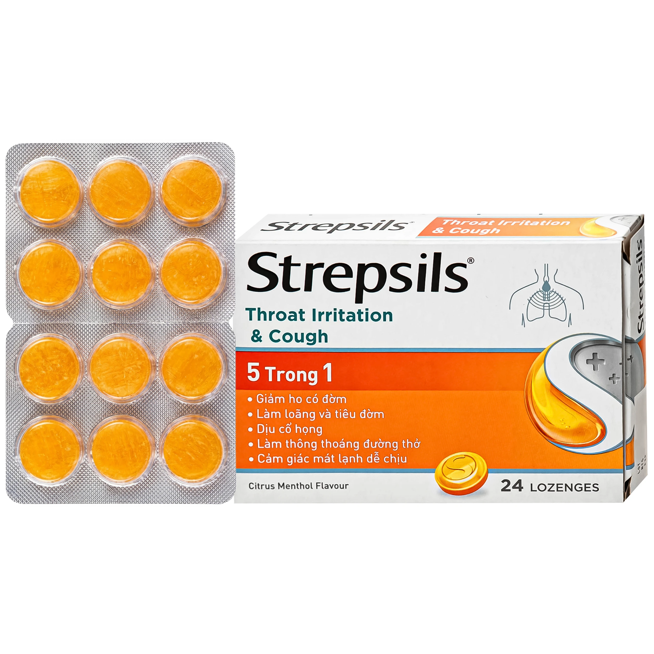 Viên ngậm Strepsils Throat Irritation & Cough Reckitt Benckiser giúp làm sạch đường thở và kiểm soát ho (2 vỉ x 12 viên) 1