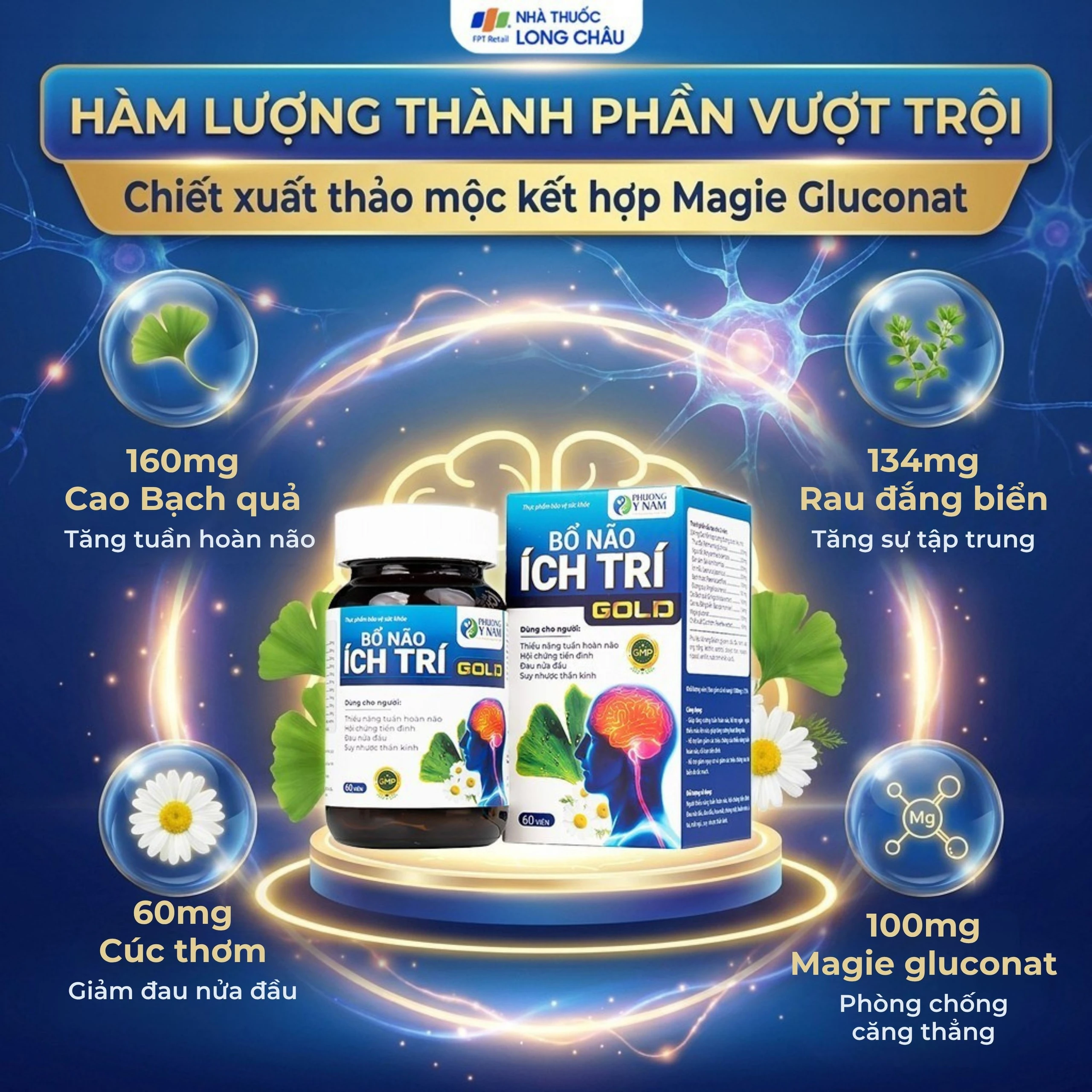 Viên uống tăng cường tuần hoàn não, giảm rối loạn tiền đình Bổ Não Ích Trí Gold (60 viên) 3