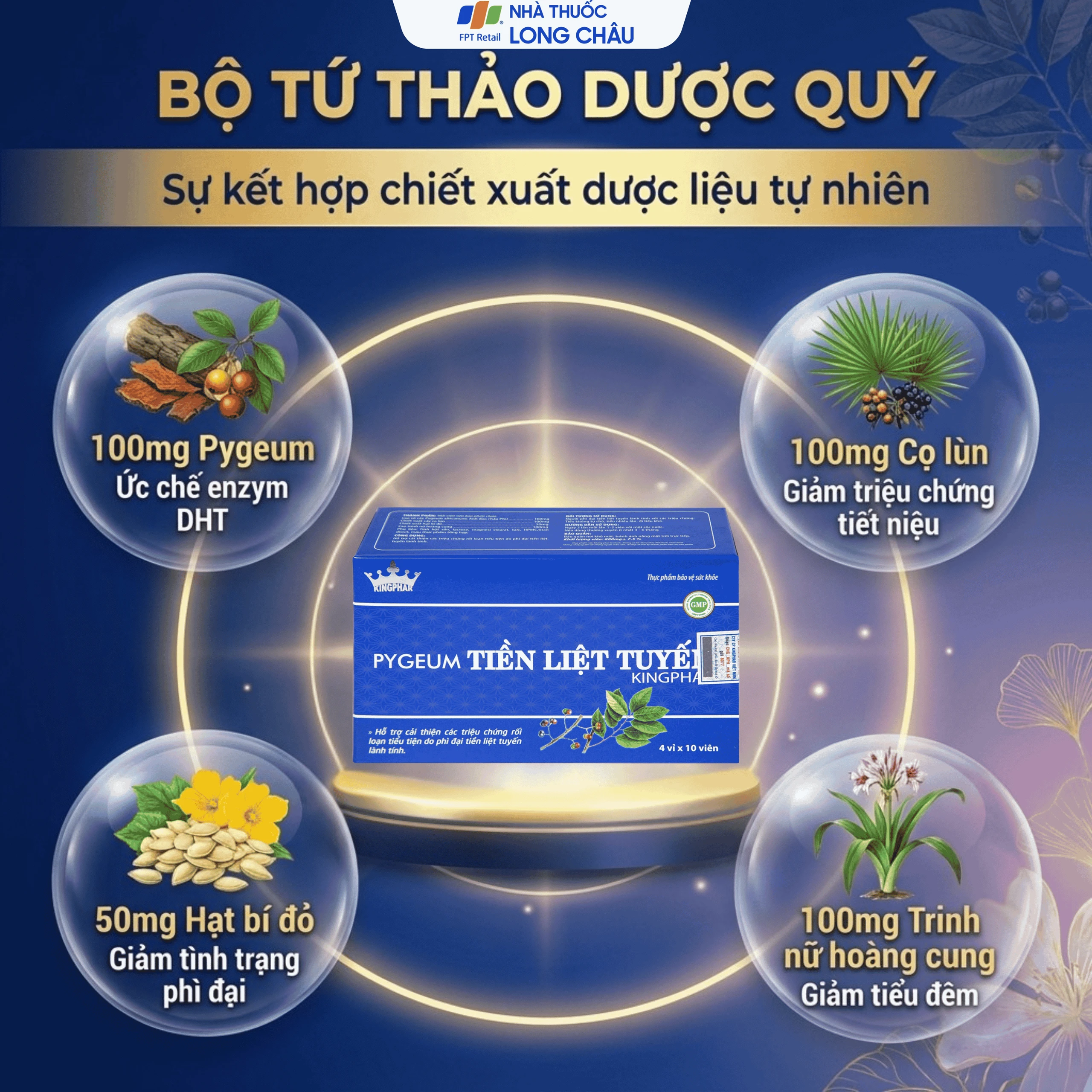 Viên uống hỗ trợ cho người phì đại tiền liệt tuyến Pygeum Tiền Liệt Tuyến Kingphar (4 vỉ x 10 viên) 3
