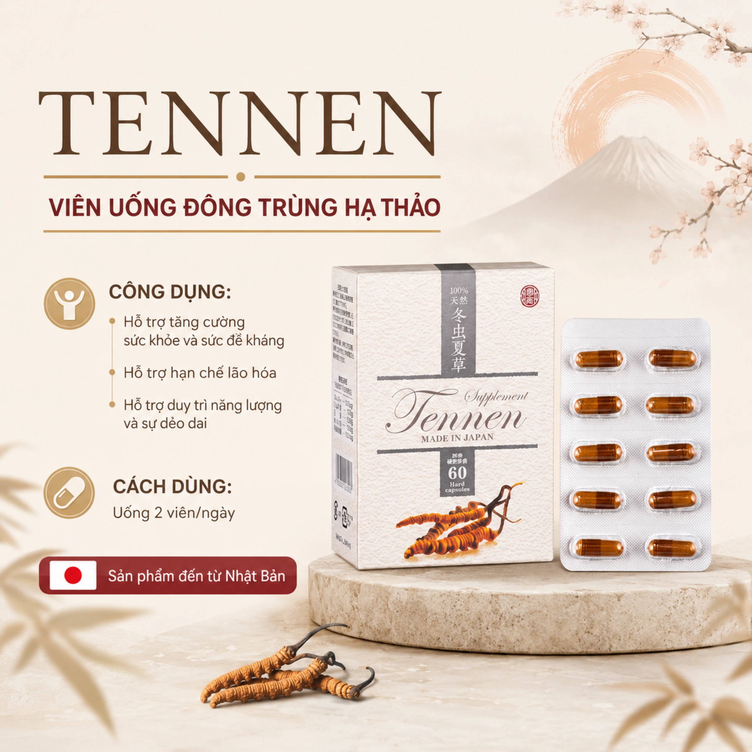 Viên uống Đông Trùng Hạ Thảo hỗ trợ tăng cường sức khỏe, hạn chế lão hóa Tennen Jpanwell (6 vỉ x 10 viên) 5
