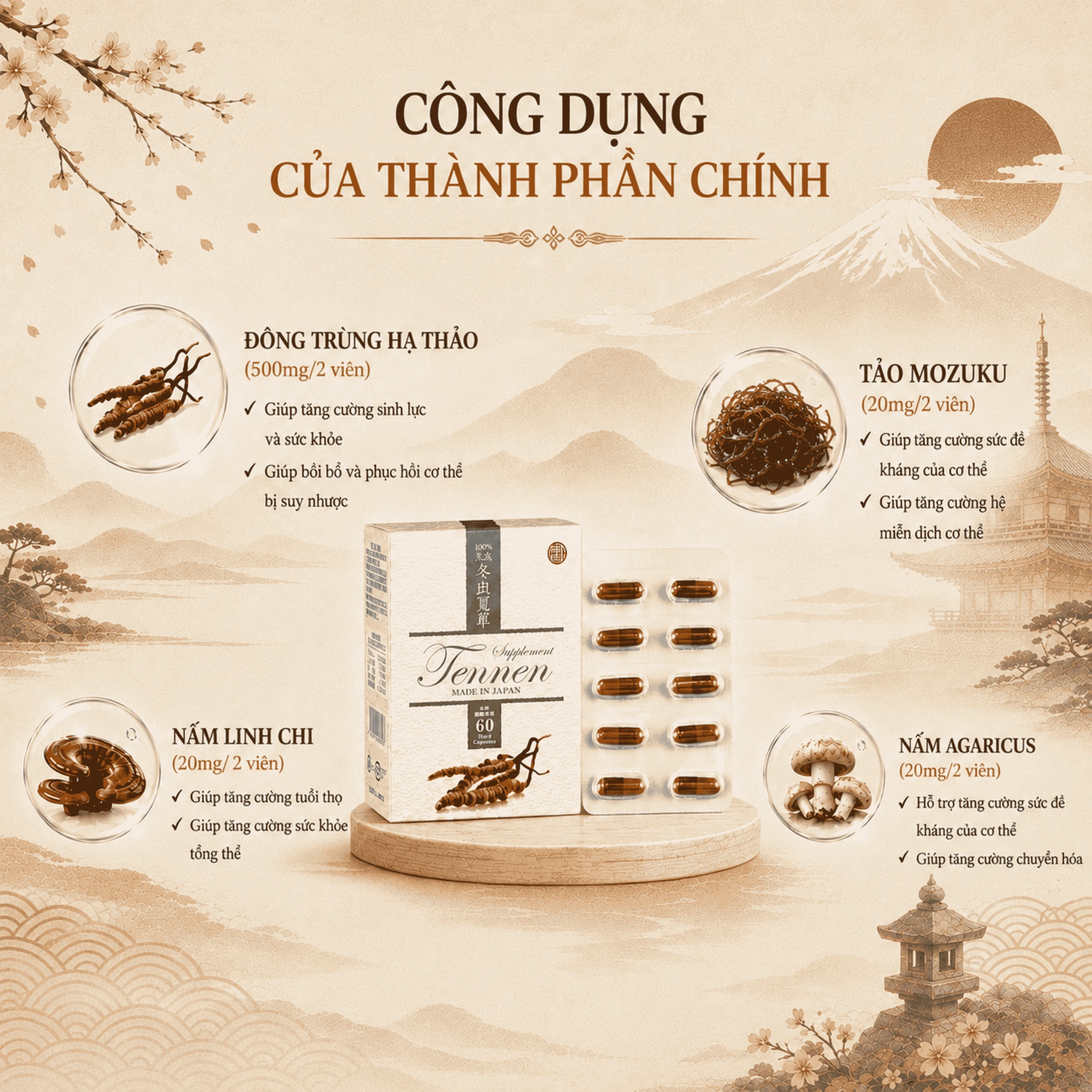 Viên uống Đông Trùng Hạ Thảo hỗ trợ tăng cường sức khỏe, hạn chế lão hóa Tennen Jpanwell (6 vỉ x 10 viên) 3